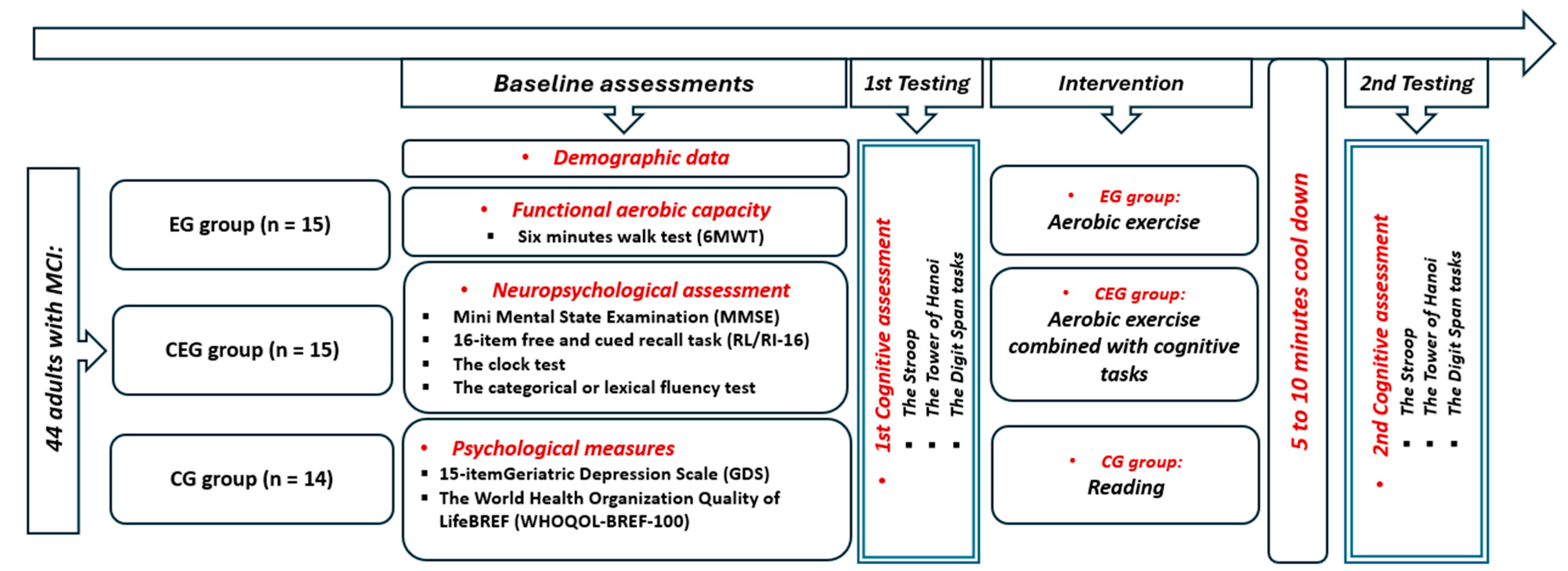 Diseases 12 00148 g001