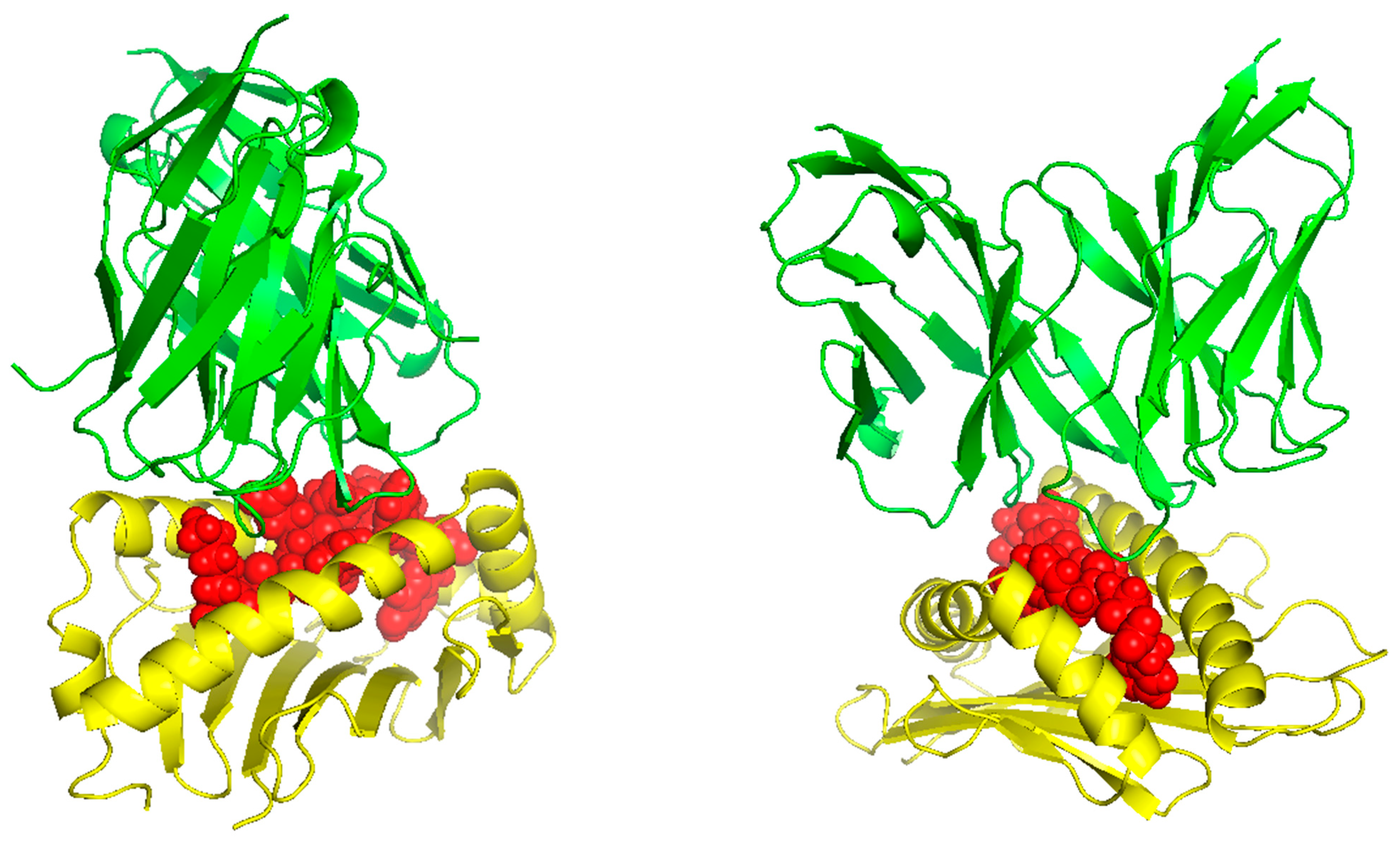 Diseases 12 00149 g005