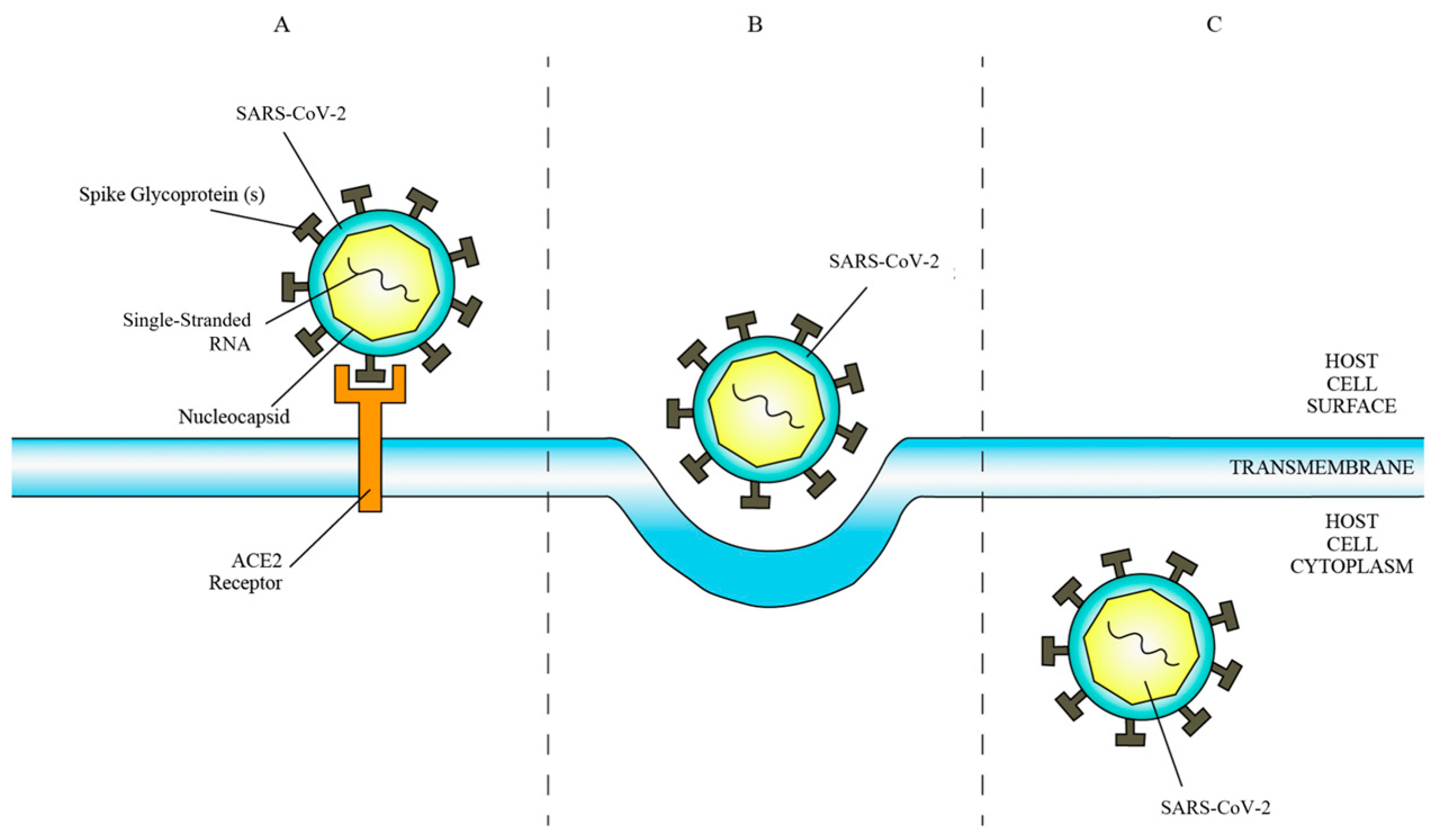 Diseases 12 00157 g001