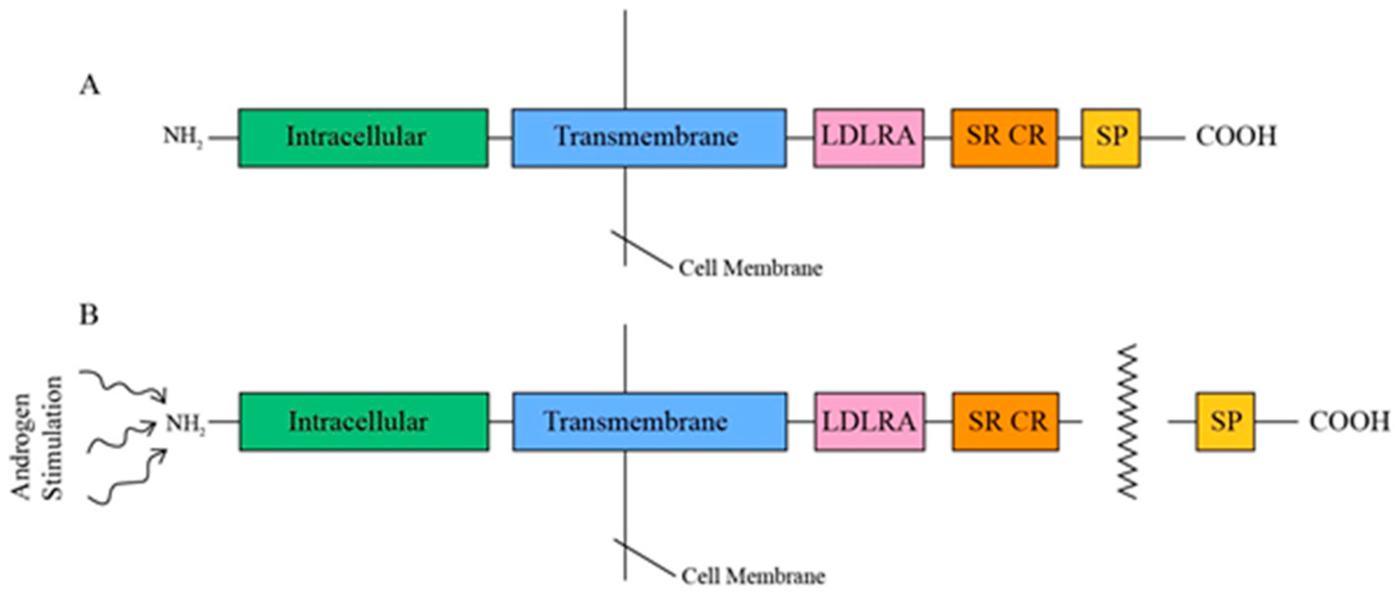 Diseases 12 00157 g002