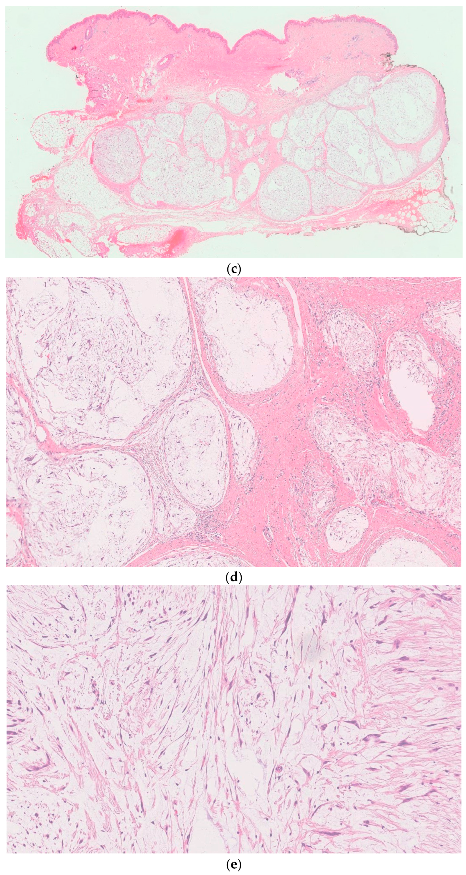 Diseases 12 00164 g002b