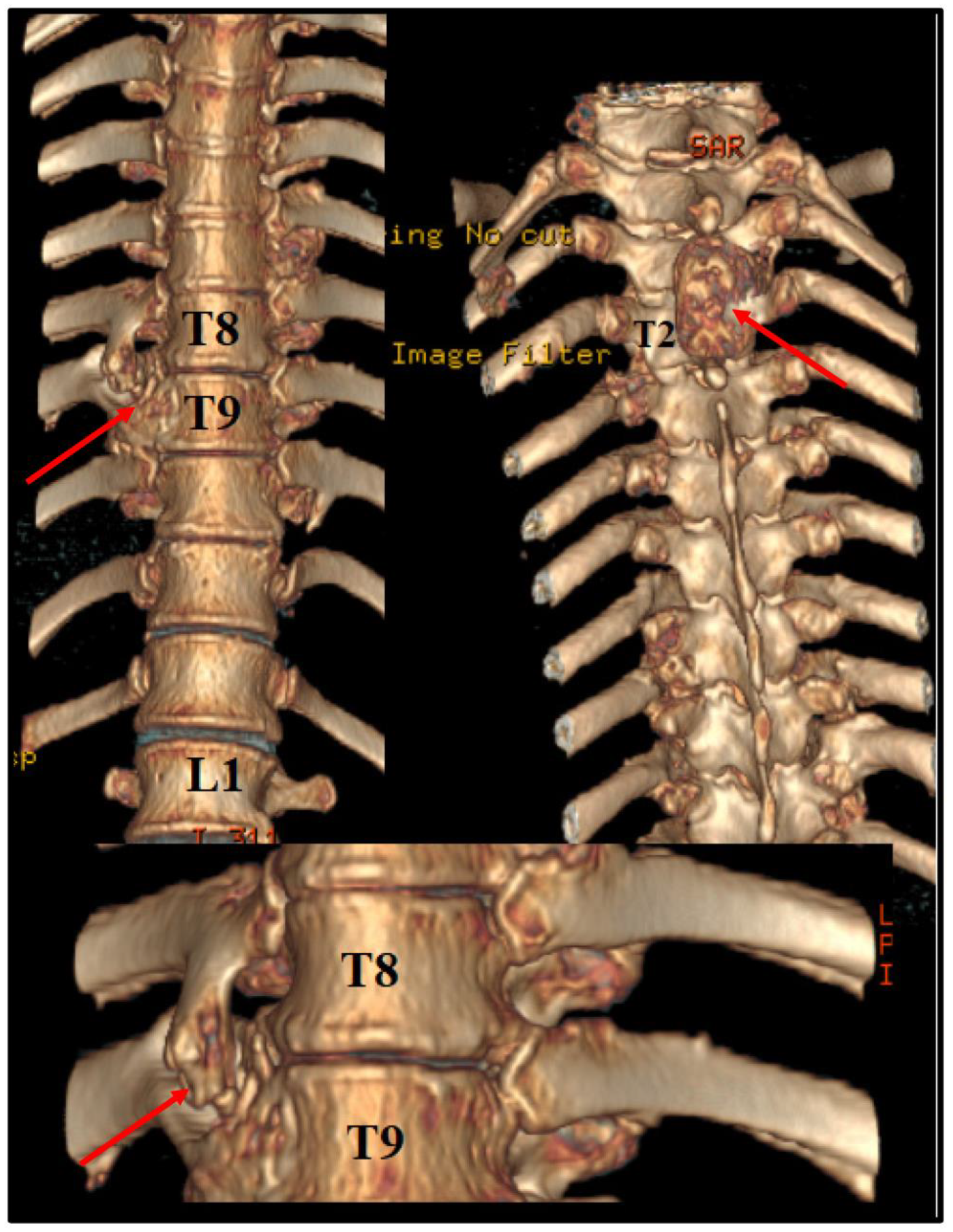 Diseases 12 00165 g002
