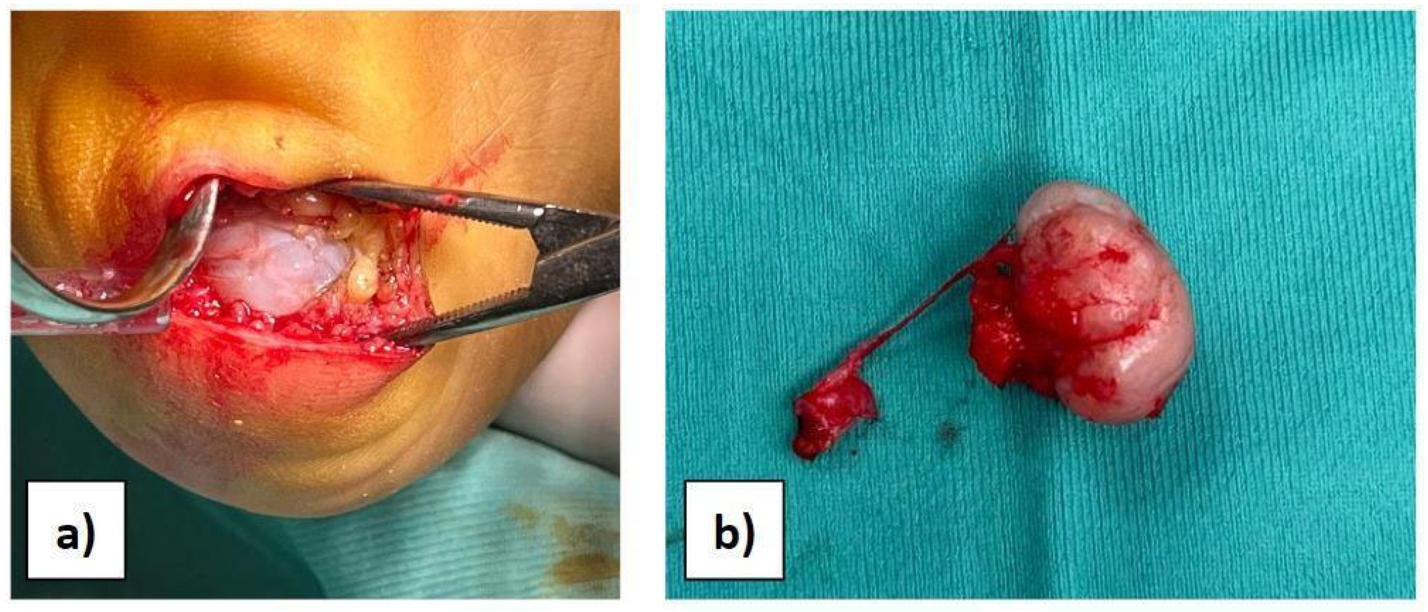 Diseases 12 00167 g002
