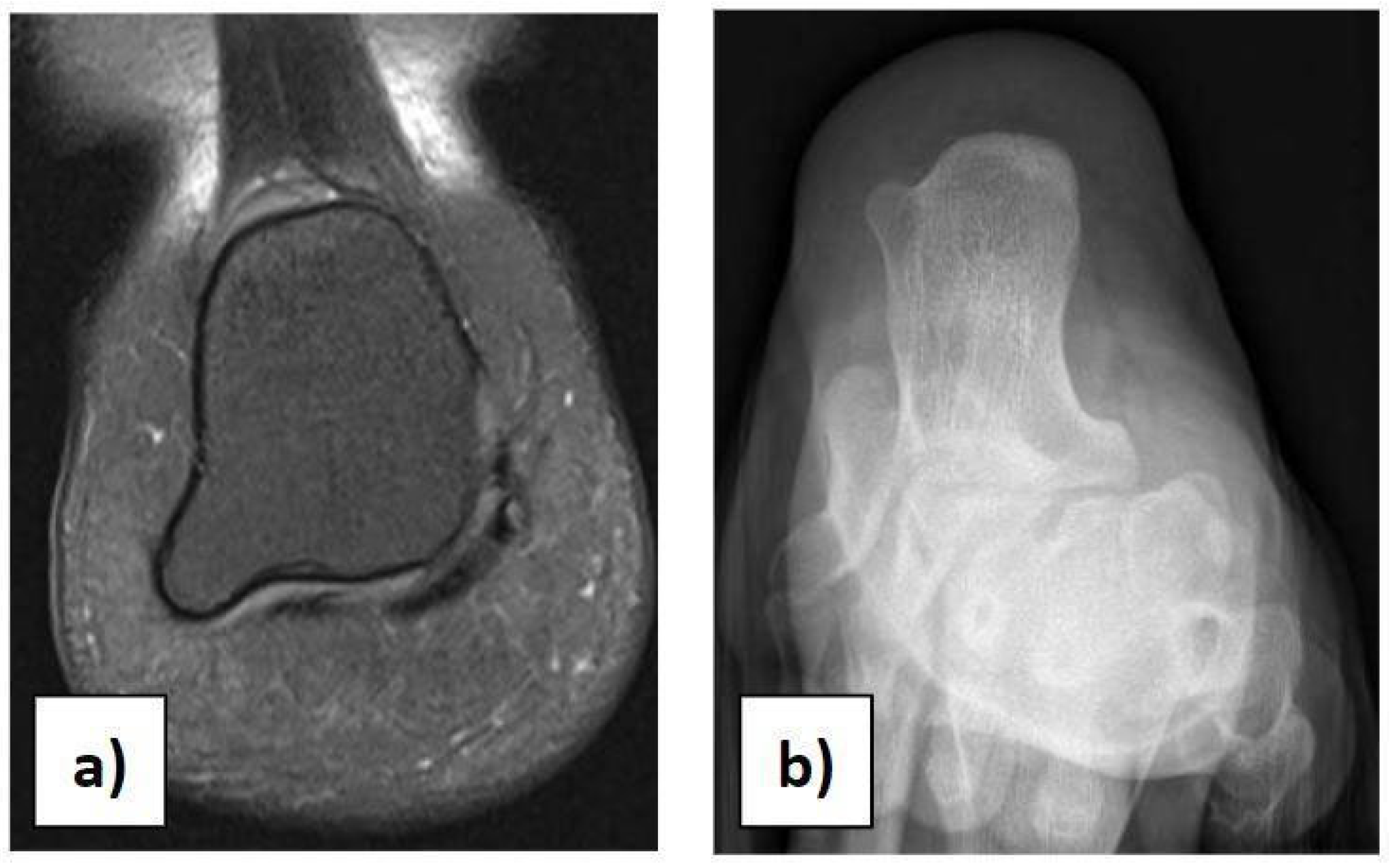 Diseases 12 00167 g003