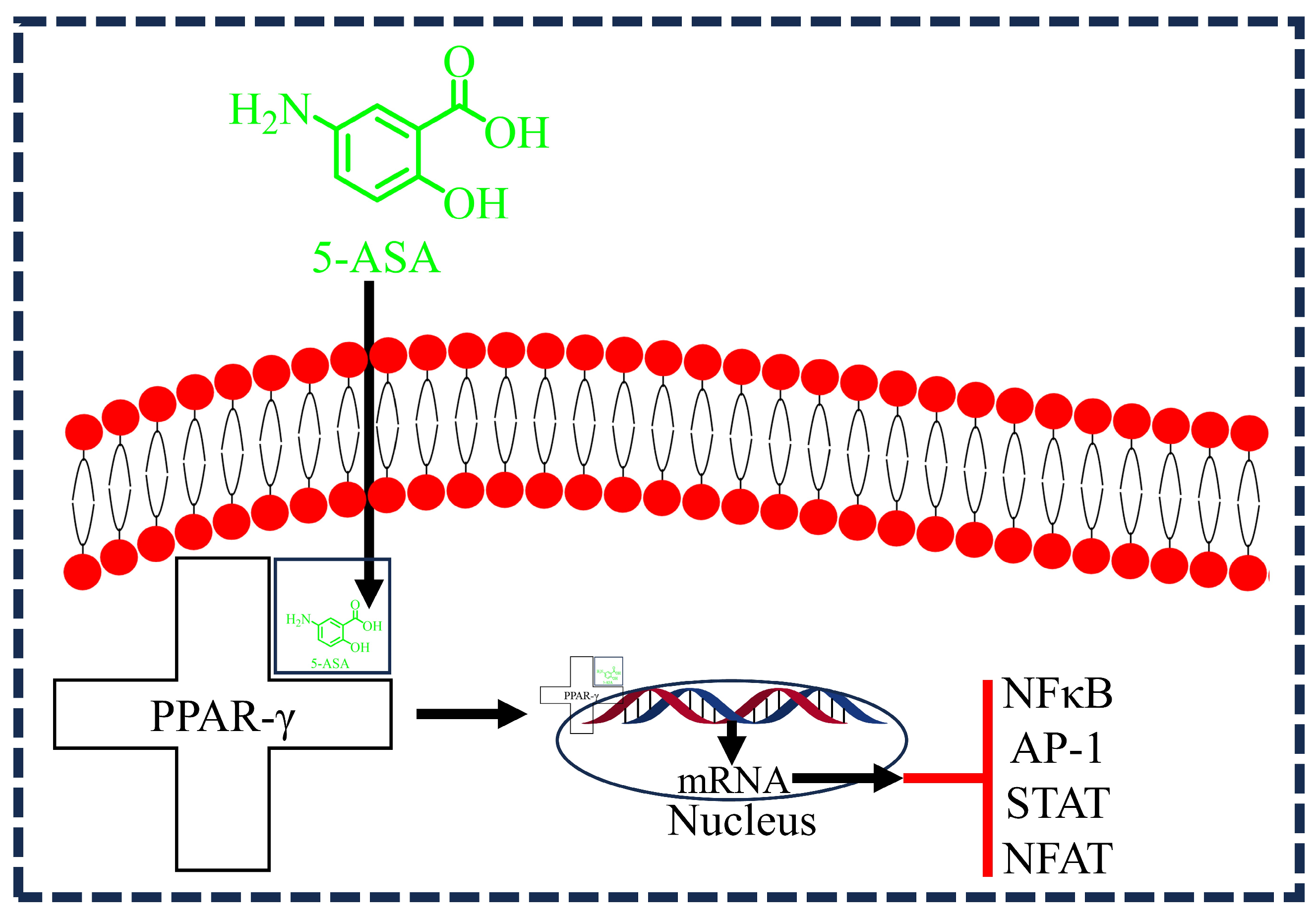 Diseases 12 00172 g005 Diseases 12 00172 g005