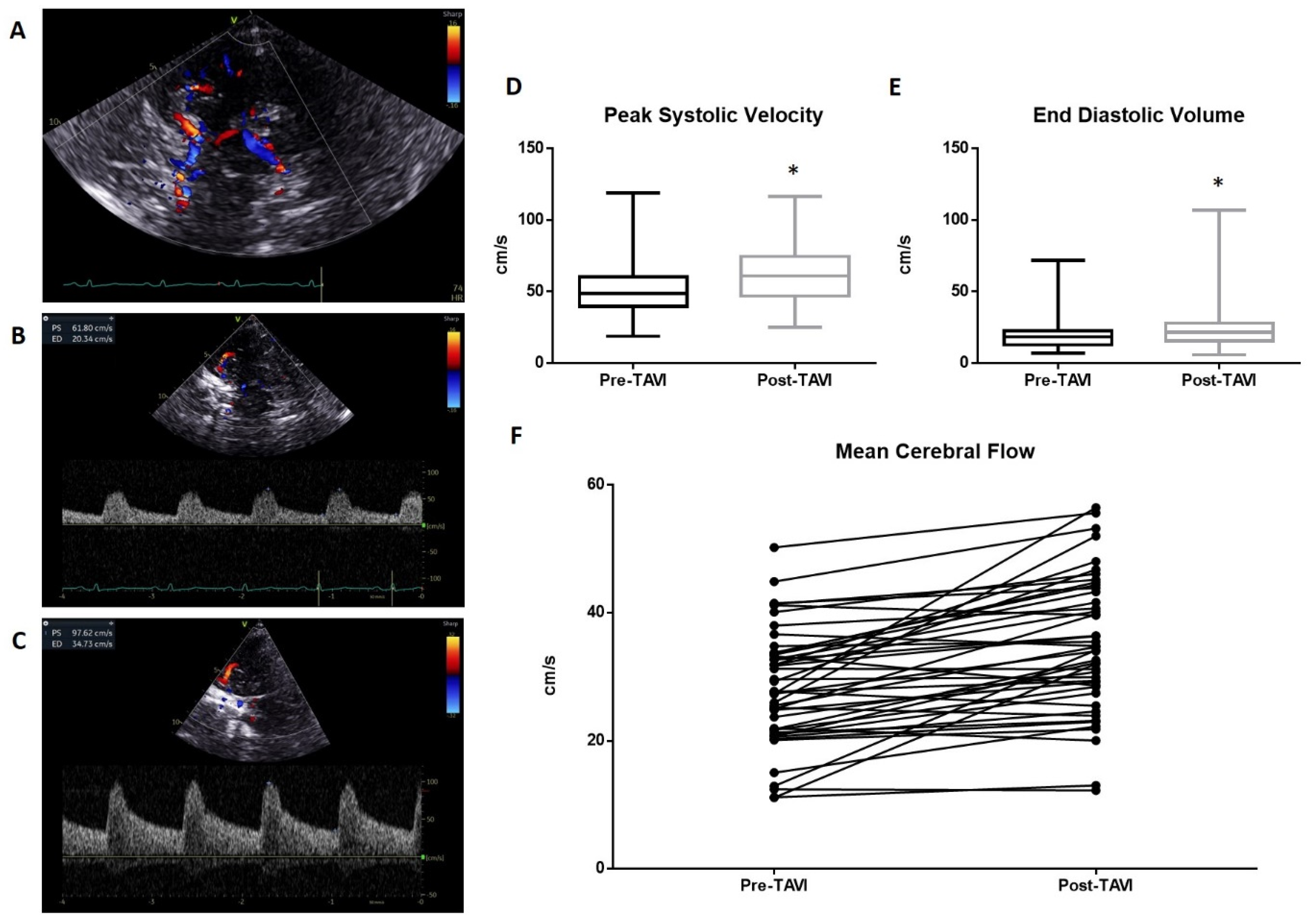 Diseases 12 00175 g001