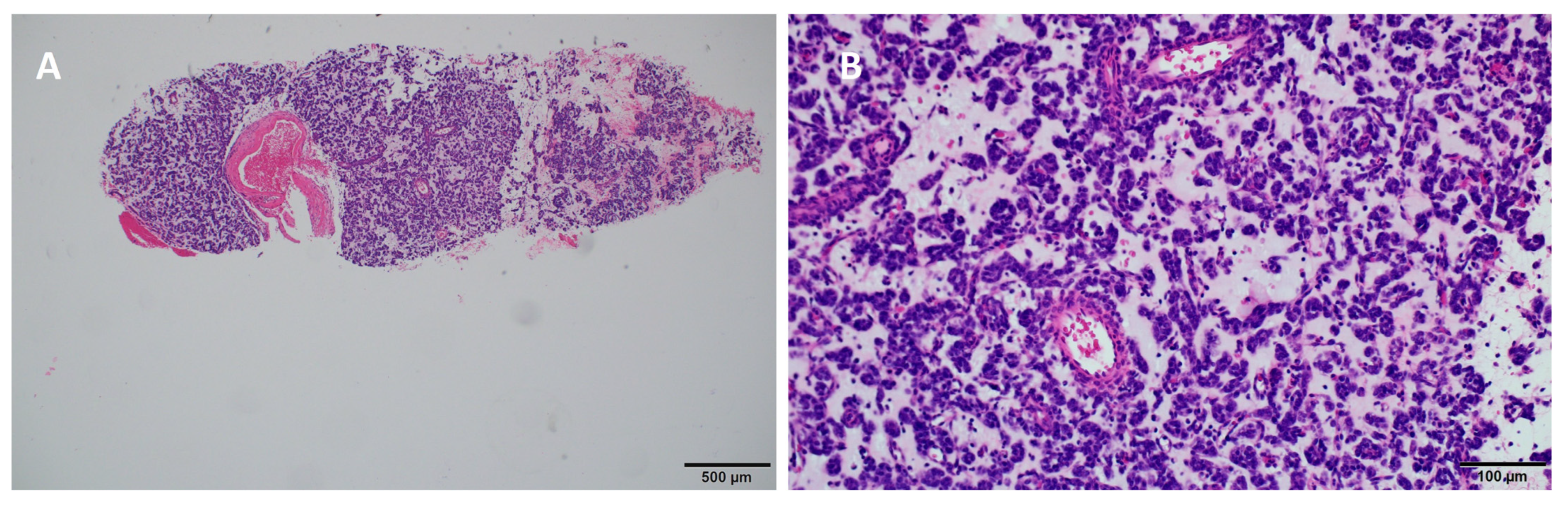 Diseases 12 00181 g002