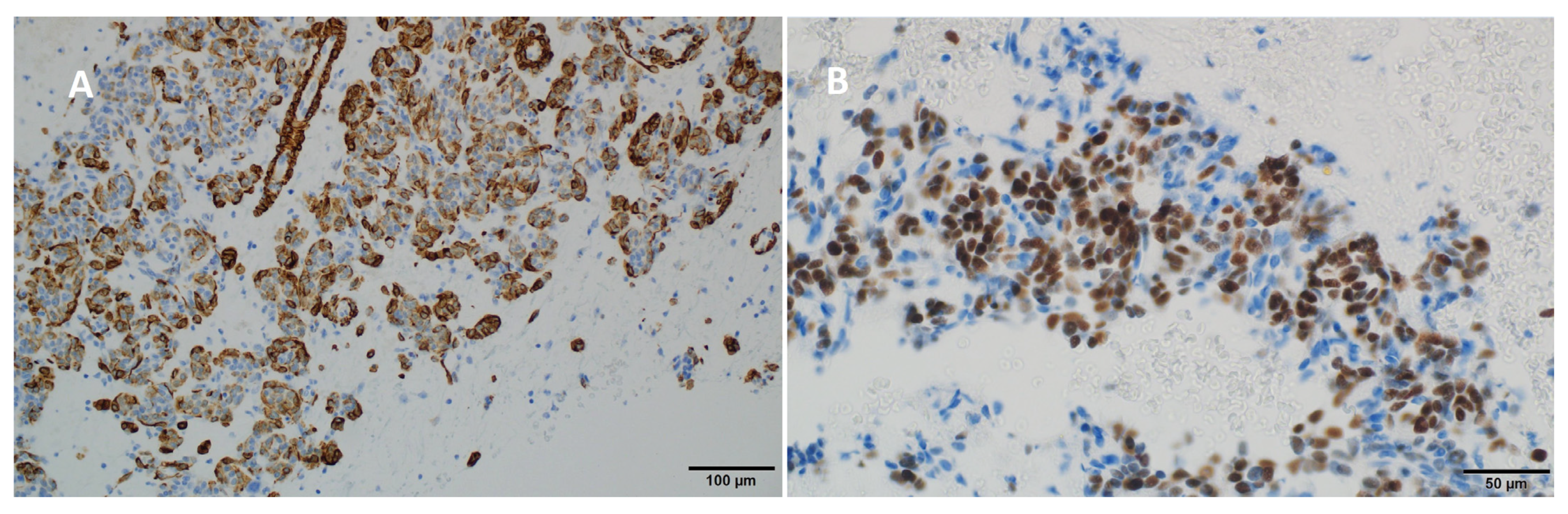Diseases 12 00181 g003