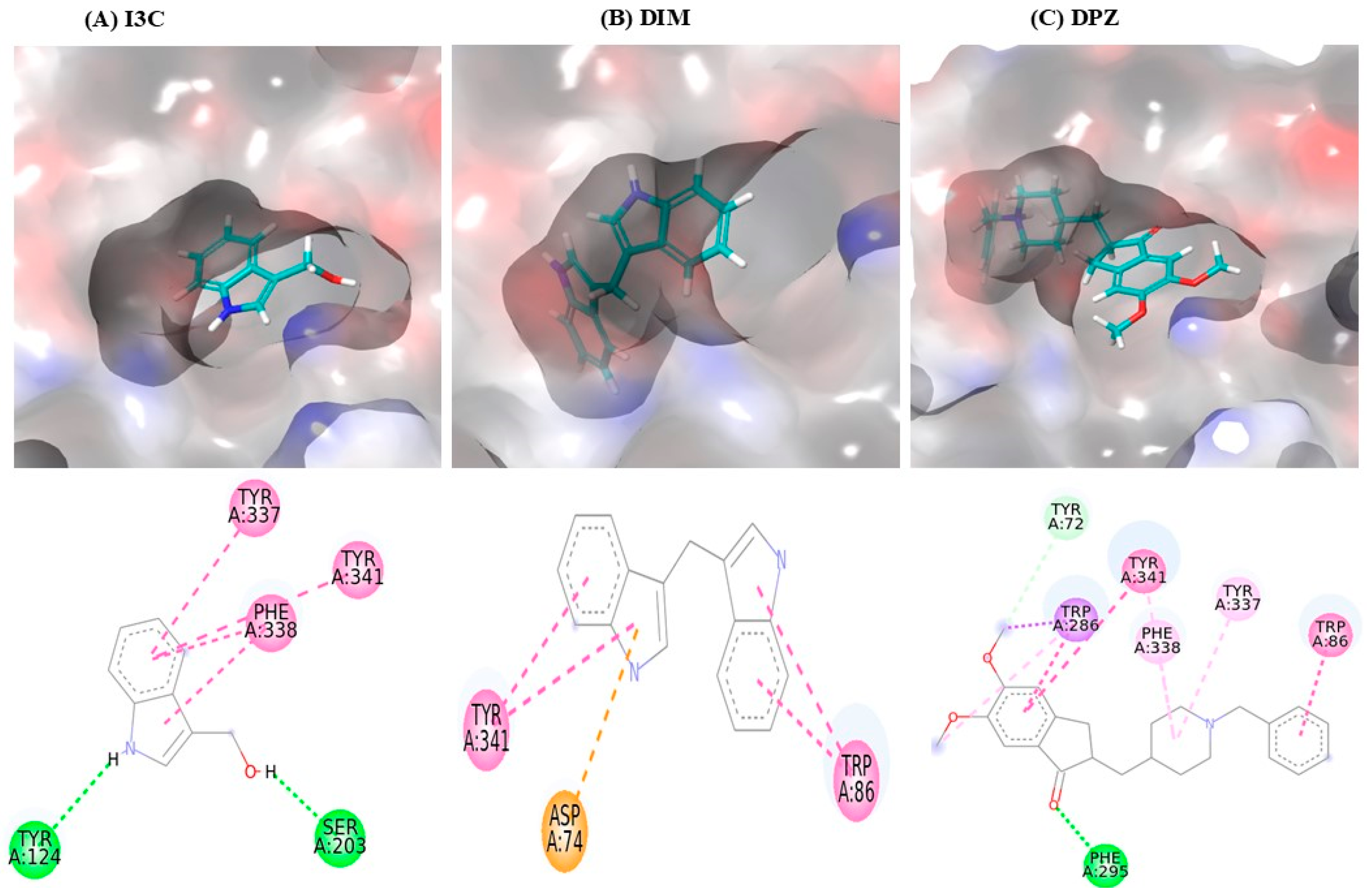 Diseases 12 00184 g001