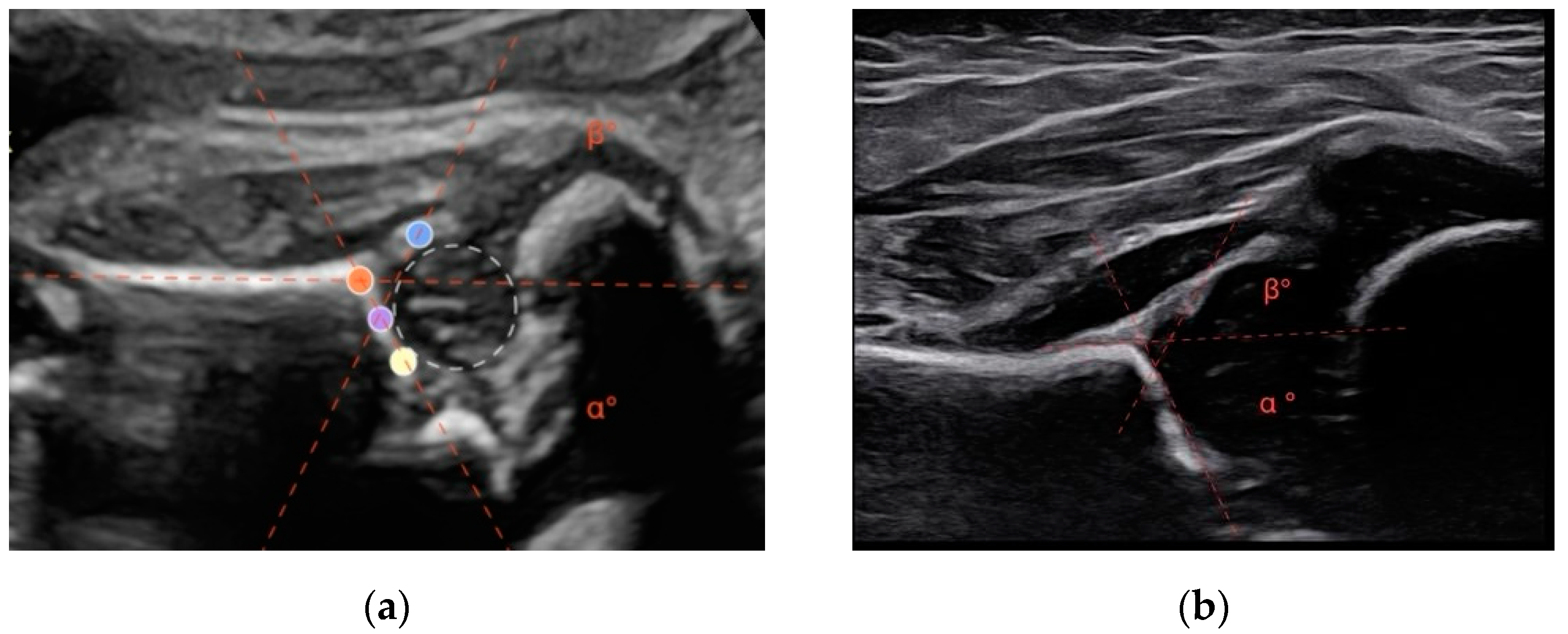Diseases 12 00188 g001 Diseases 12 00188 g001