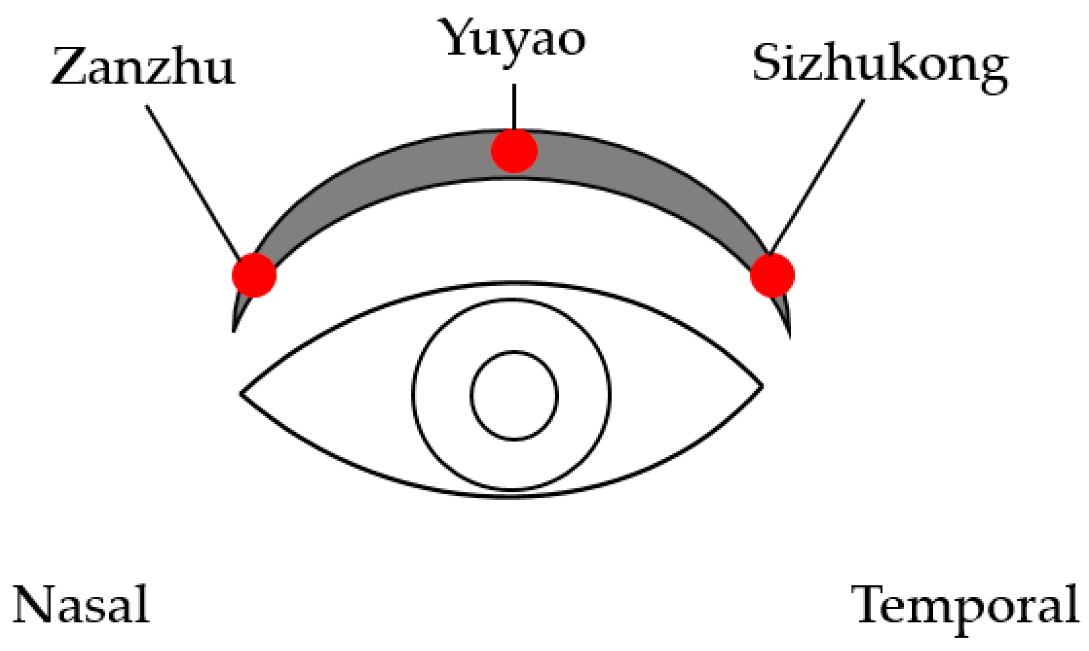 Diseases 12 00192 g002