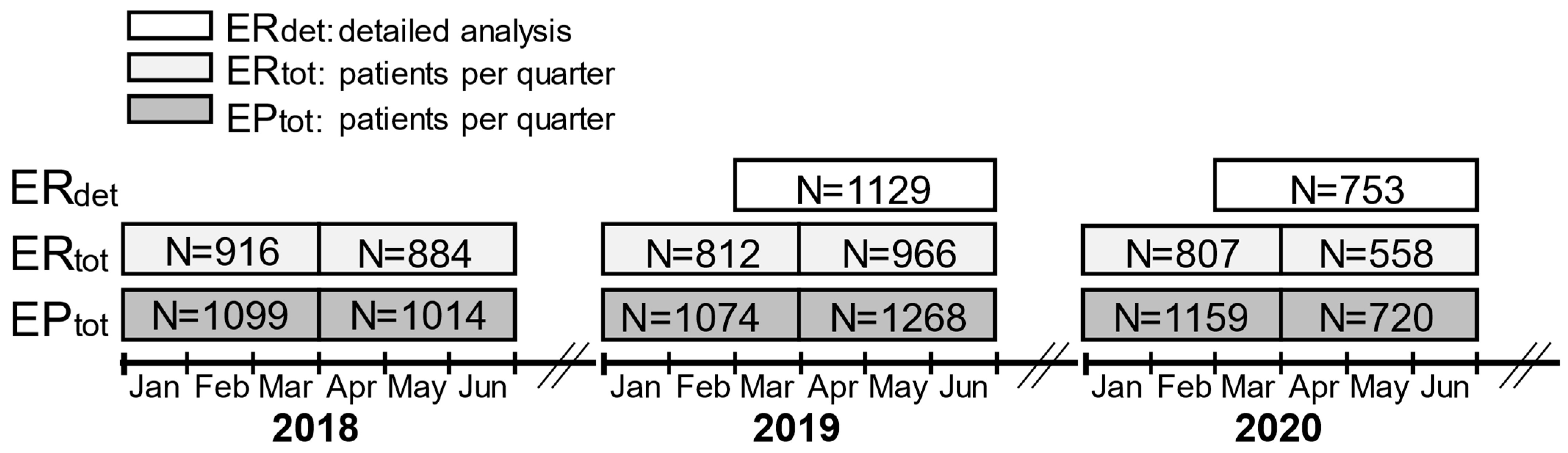 Diseases 12 00194 g001