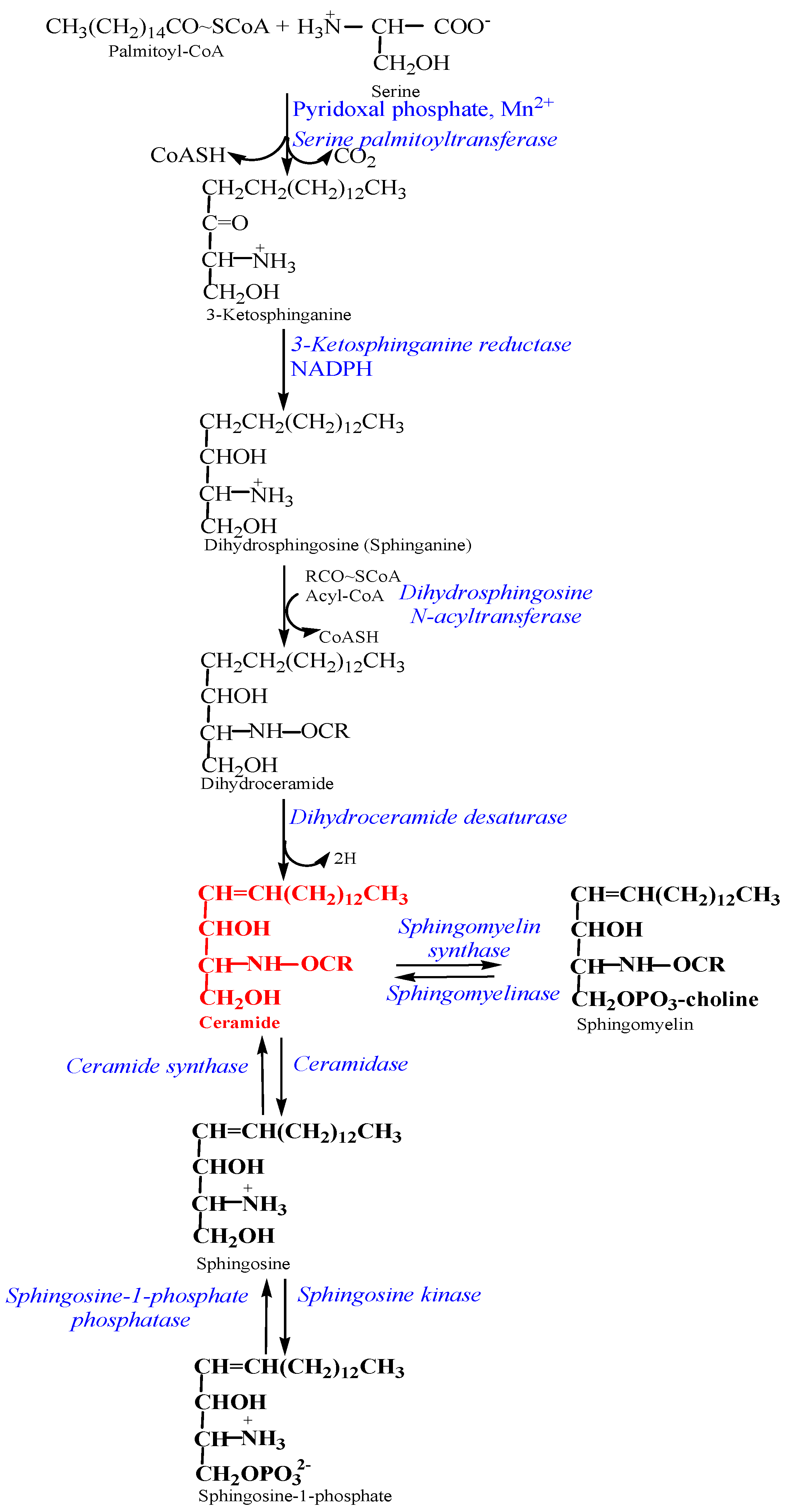 Diseases 12 00195 g001