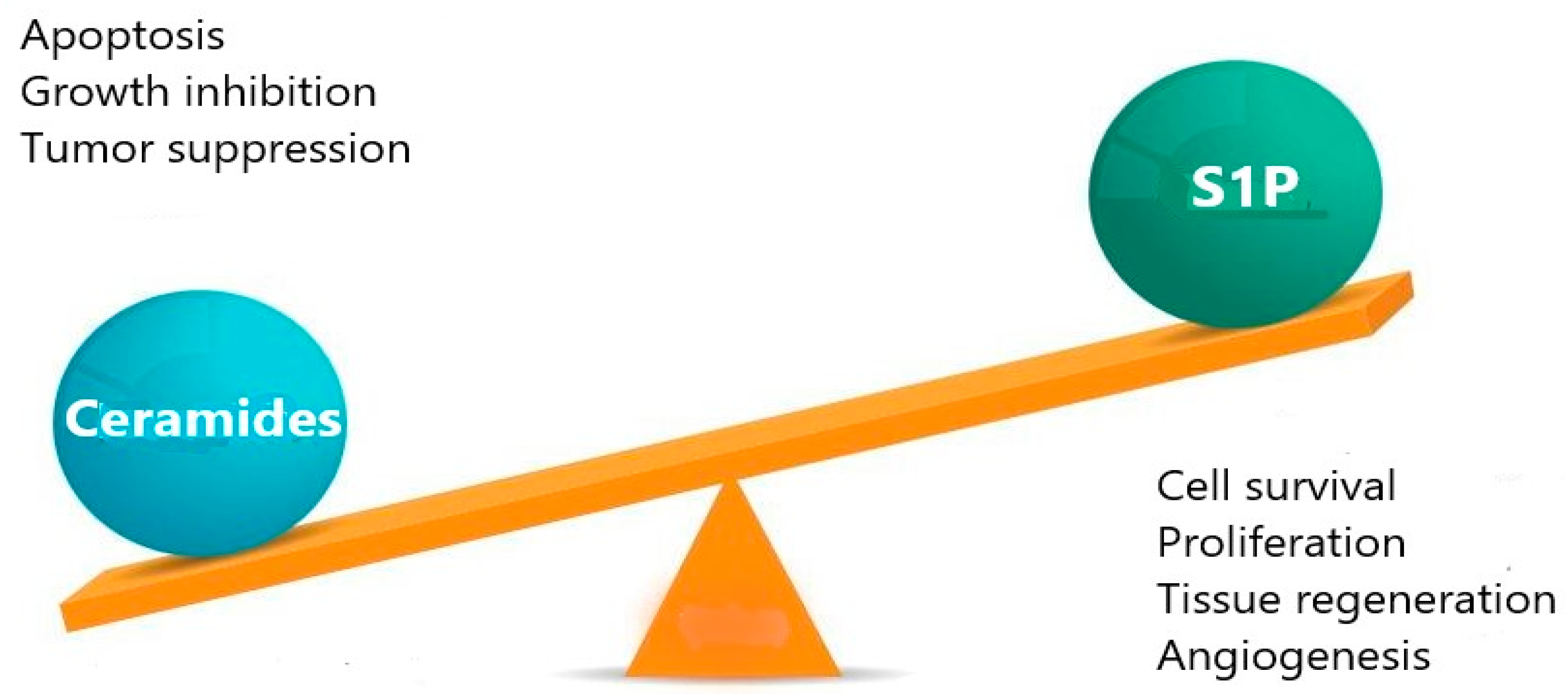 Diseases 12 00195 g002