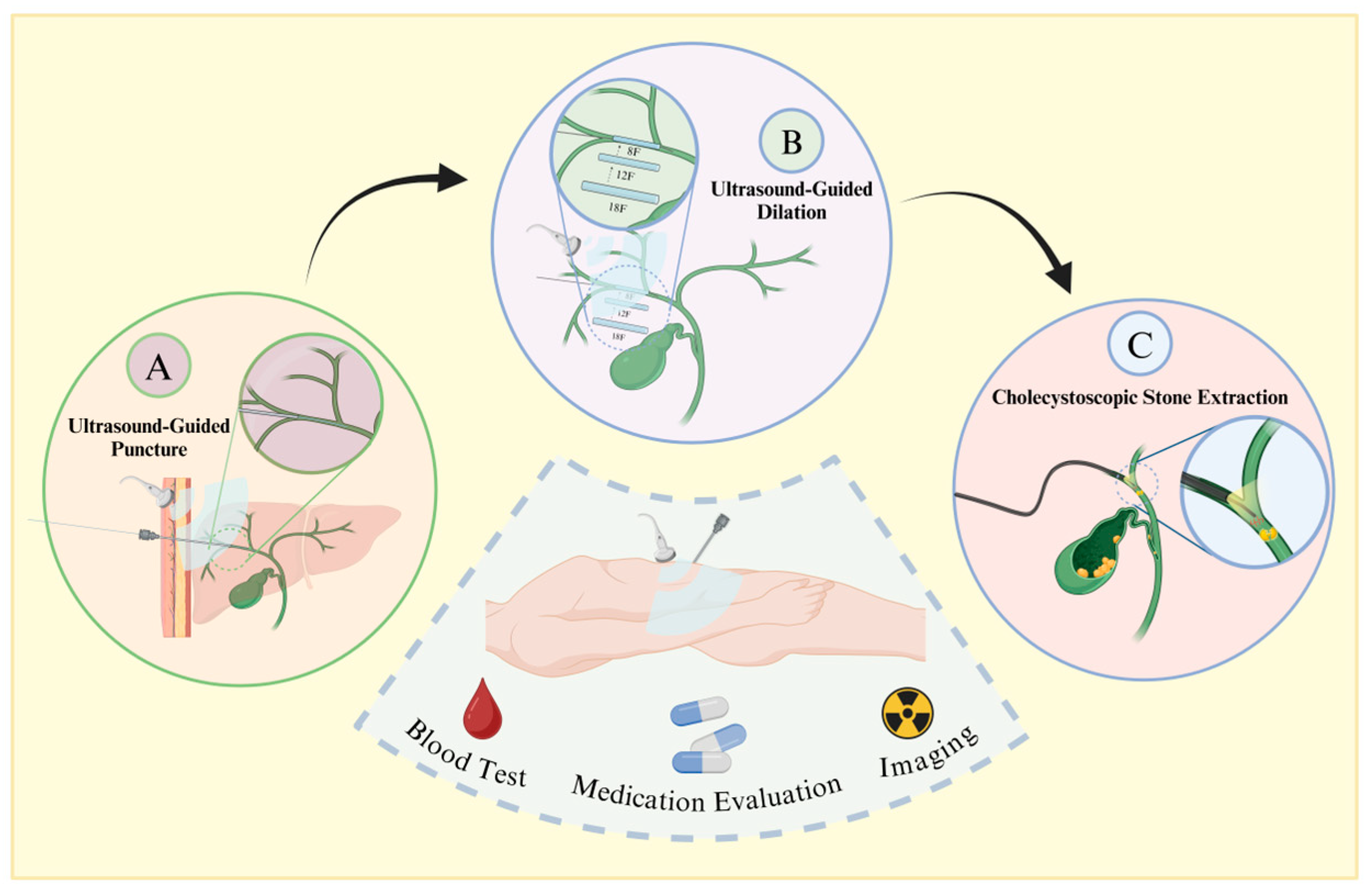 Diseases 12 00197 g001