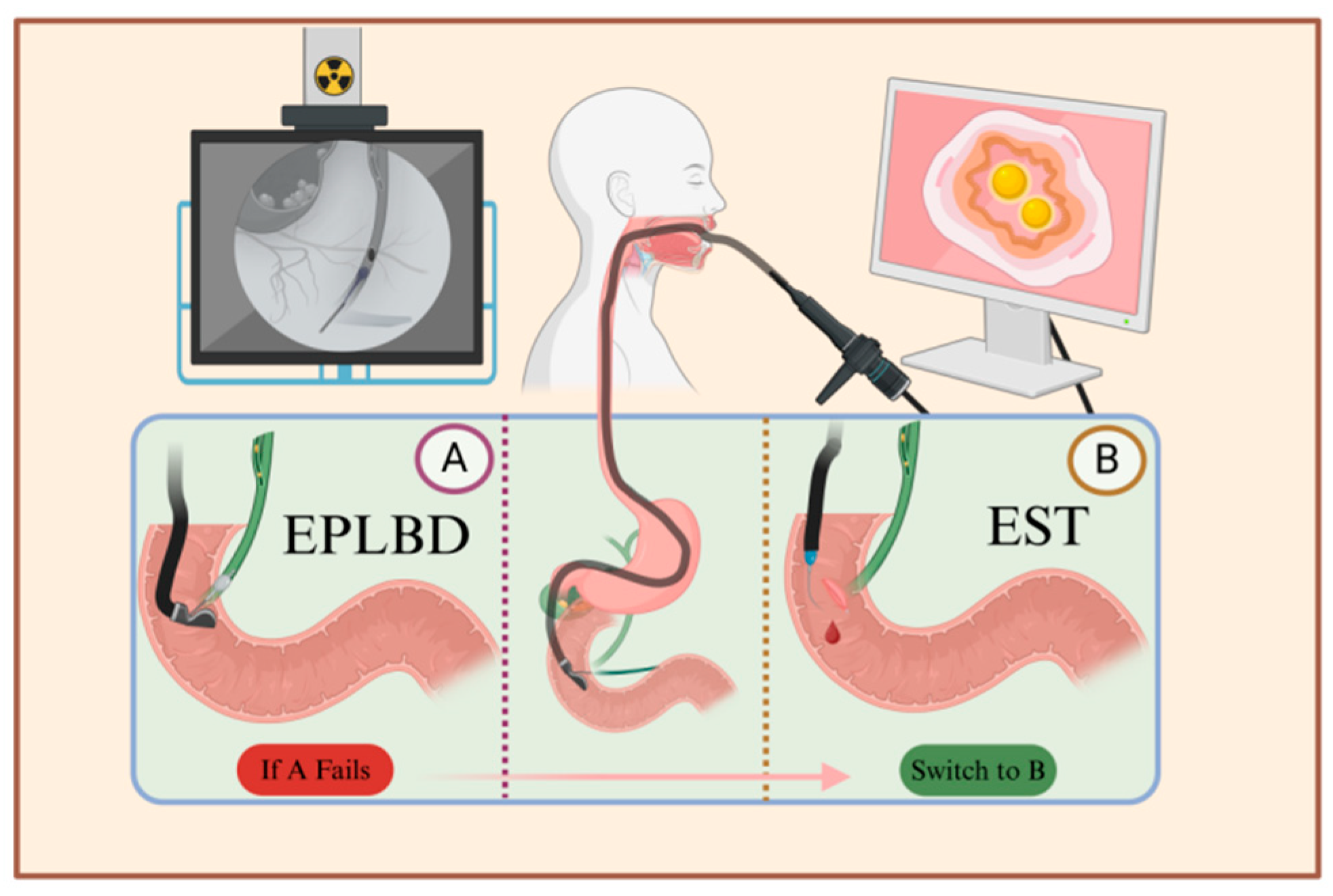 Diseases 12 00197 g002