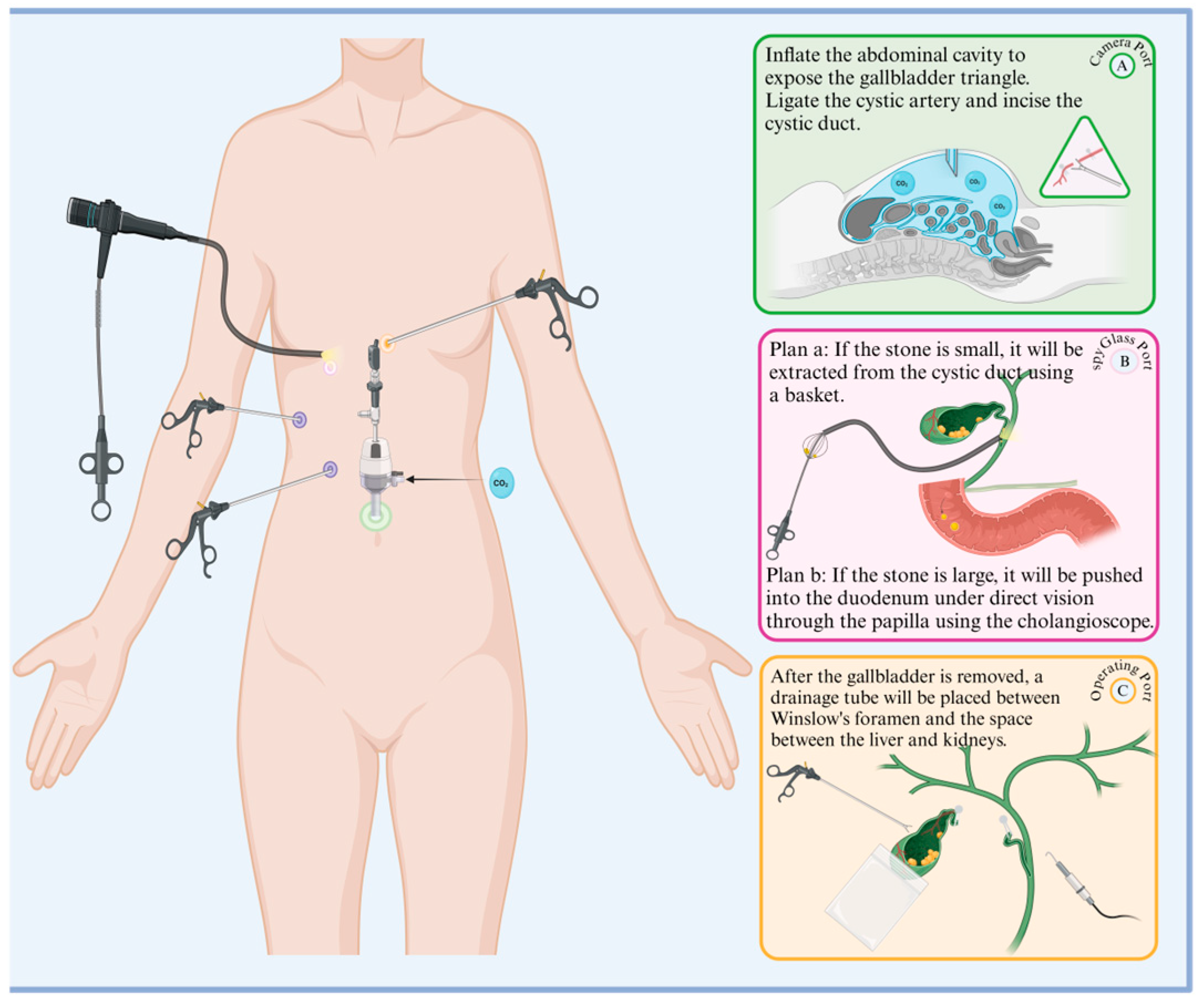 Diseases 12 00197 g003