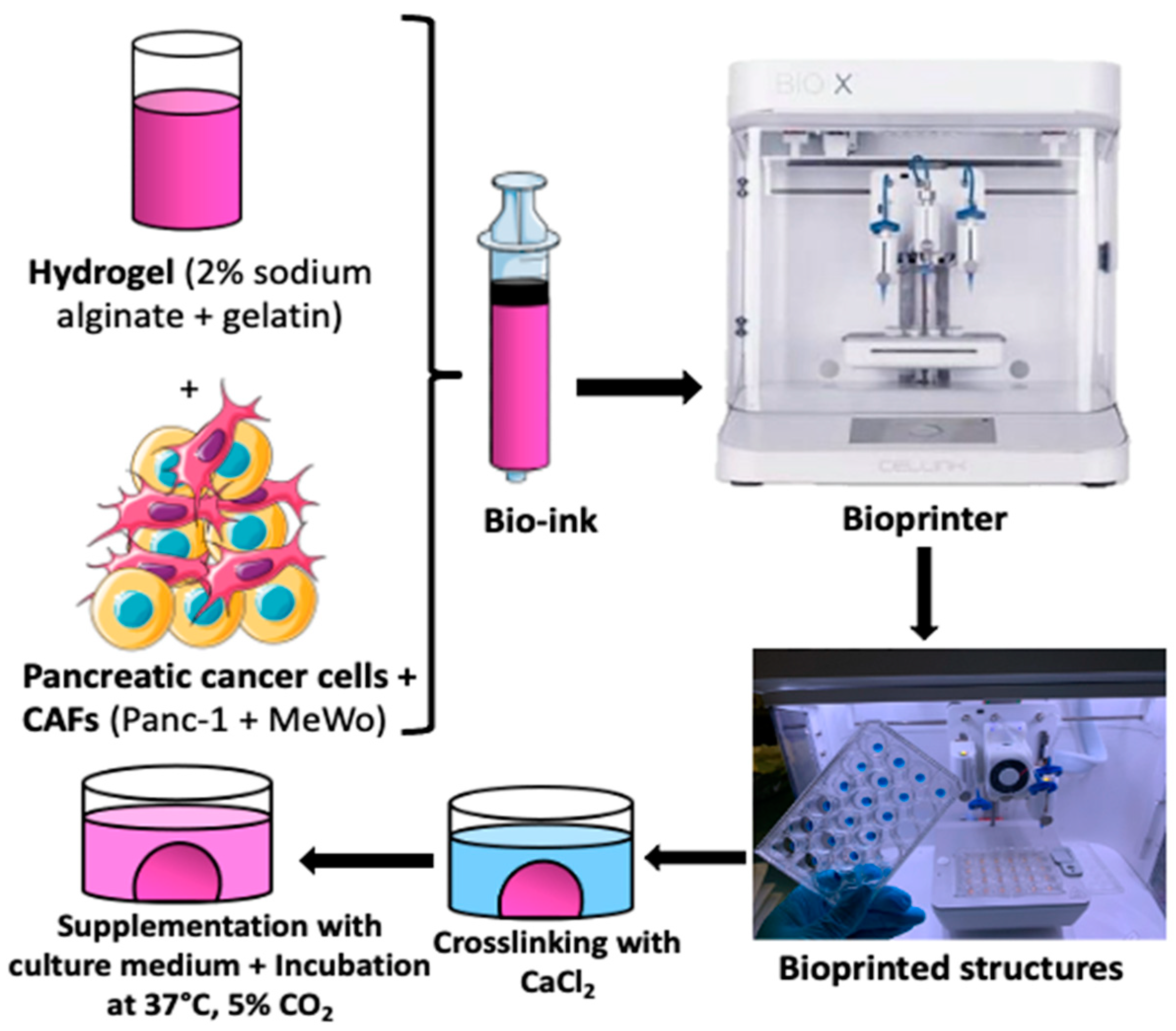 Diseases 12 00206 g001
