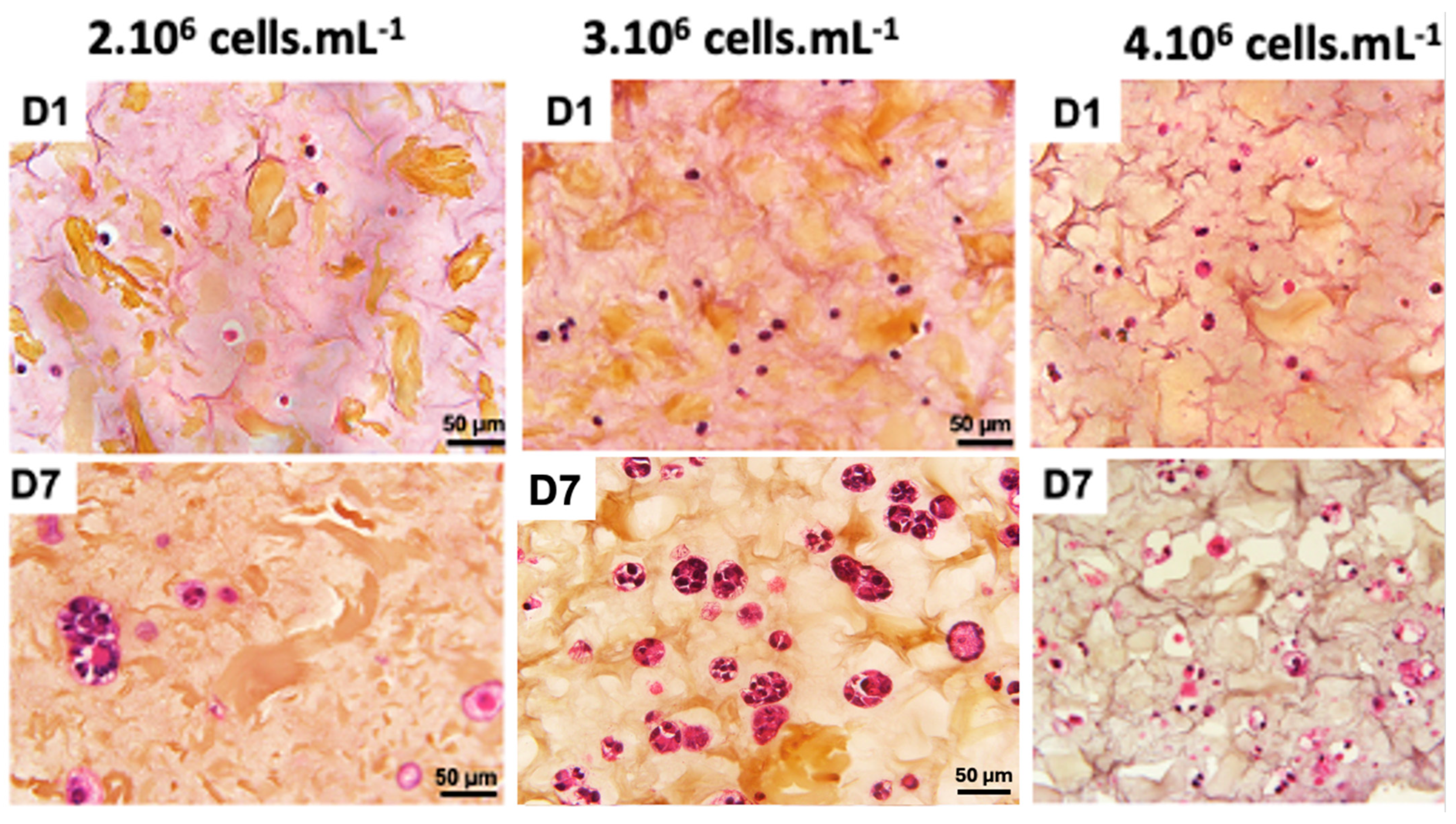 Diseases 12 00206 g003