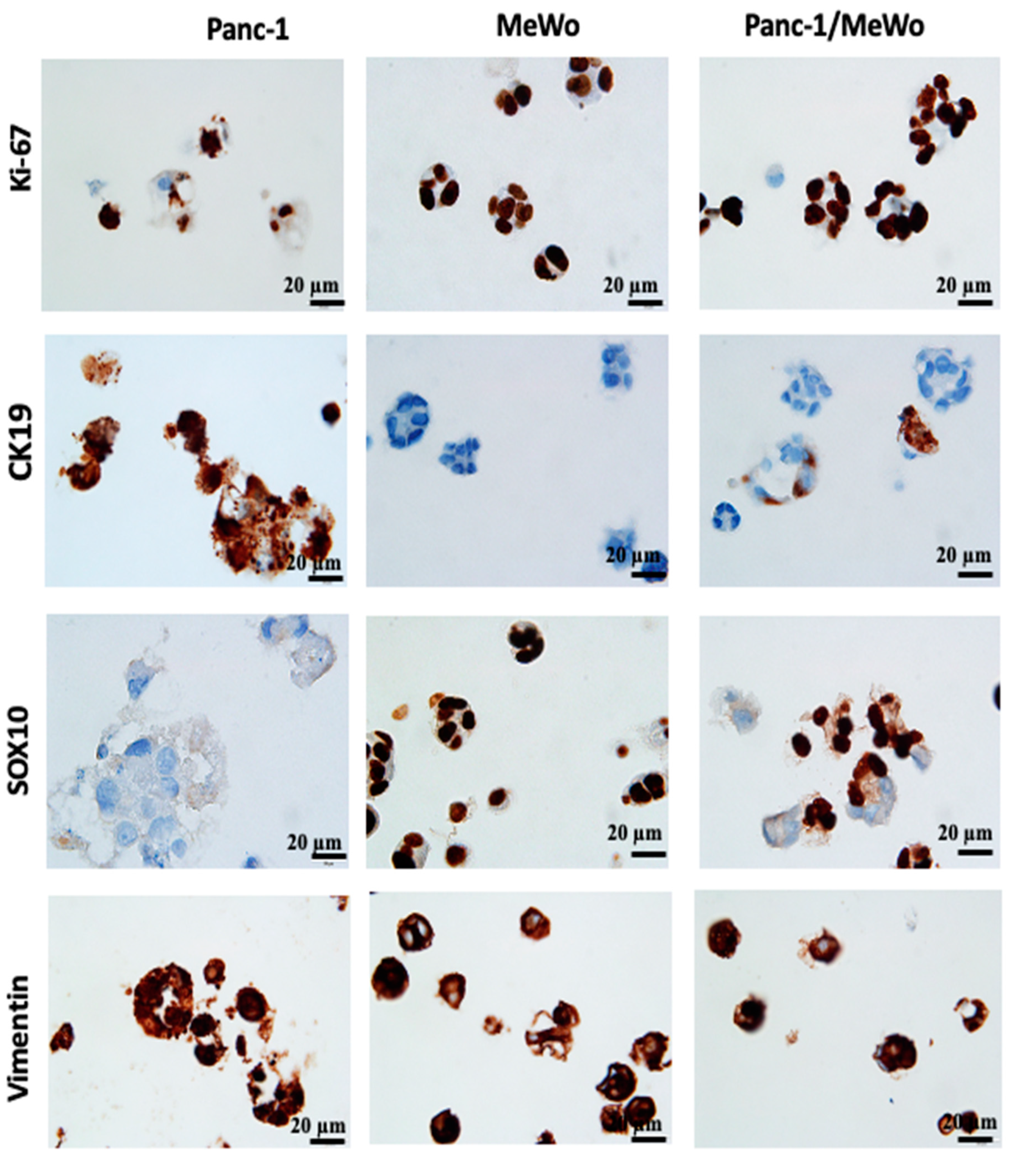 Diseases 12 00206 g008