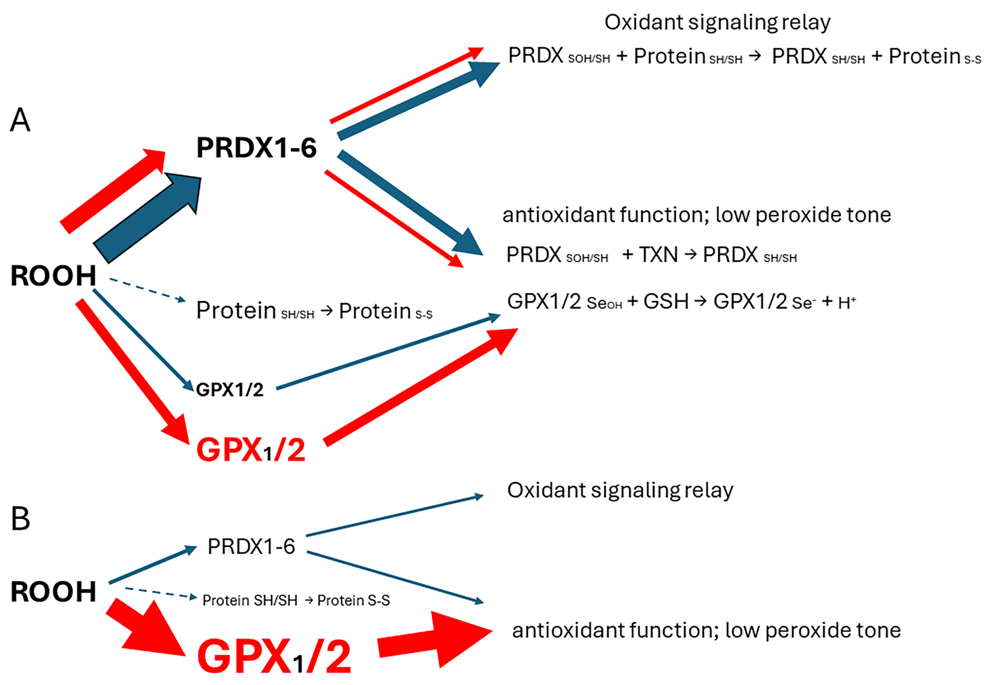 Diseases 12 00207 g001 Diseases 12 00207 g001