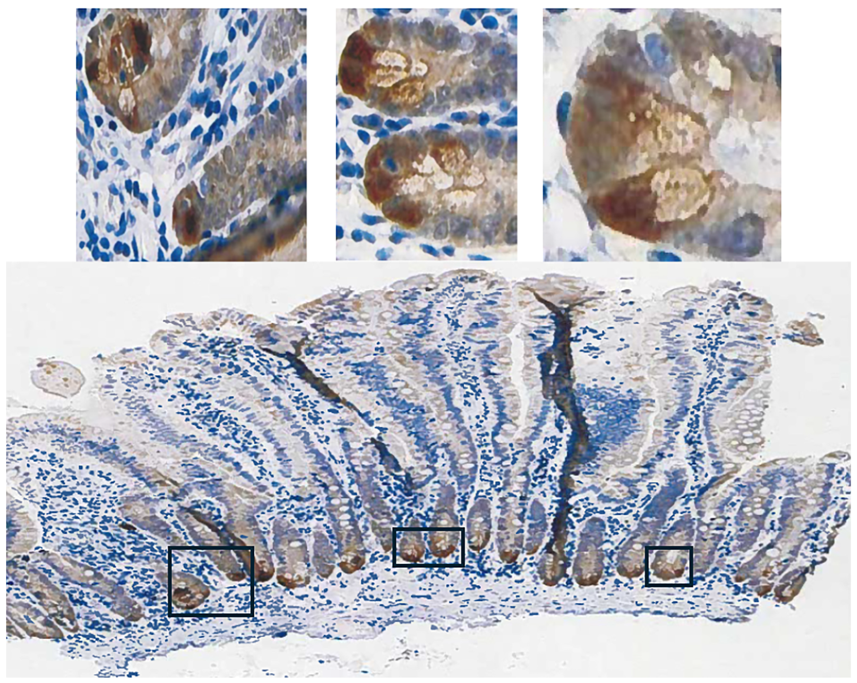 Diseases 12 00207 g003 Diseases 12 00207 g003