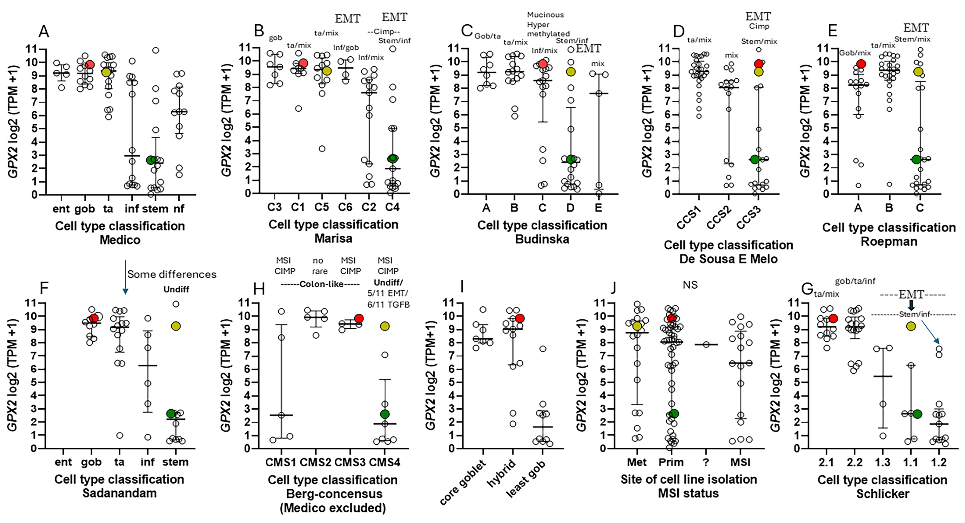 Diseases 12 00207 g008 Diseases 12 00207 g008