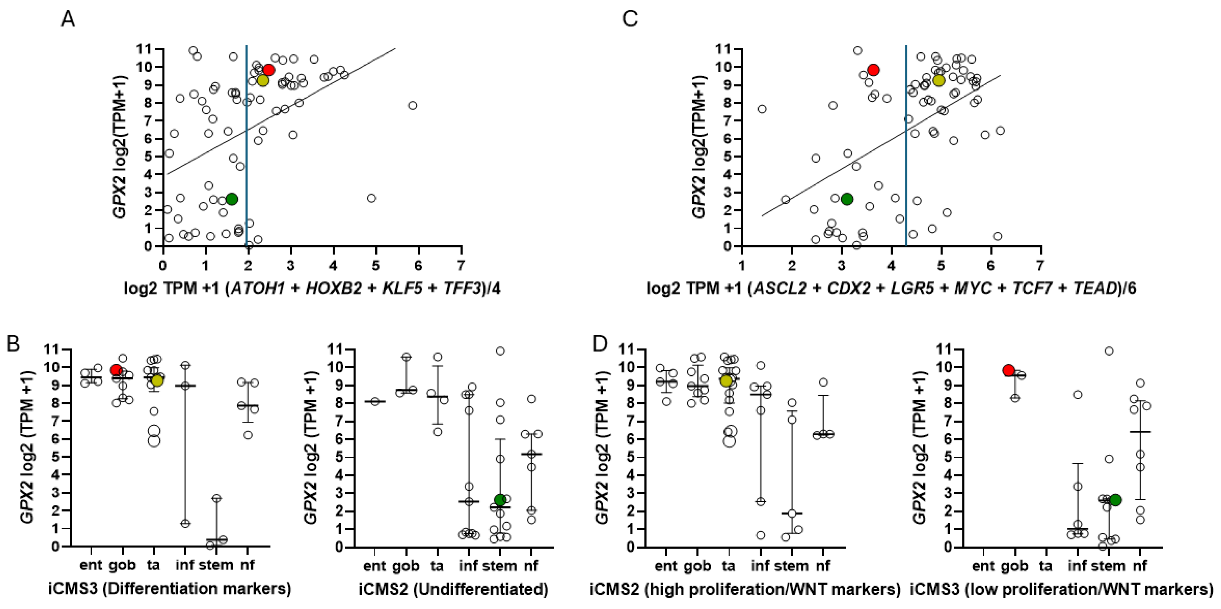 Diseases 12 00207 g009 Diseases 12 00207 g009
