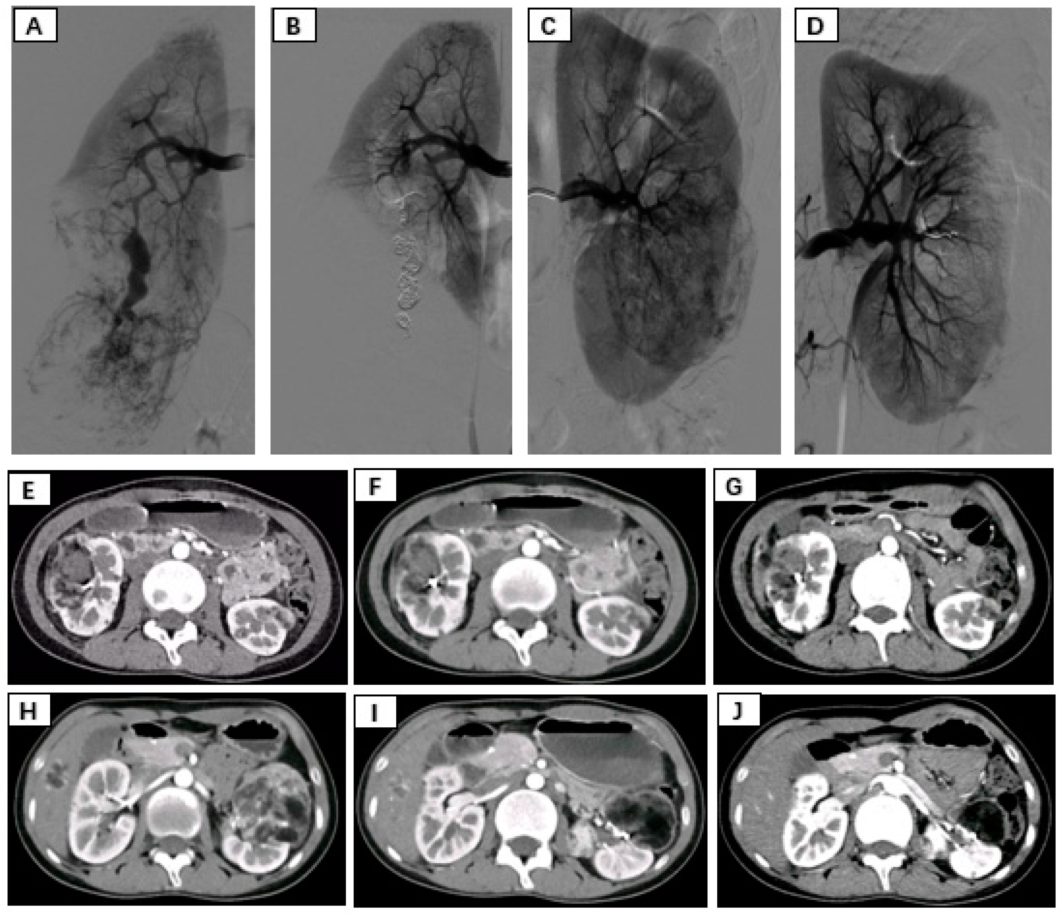 Diseases 12 00218 g001