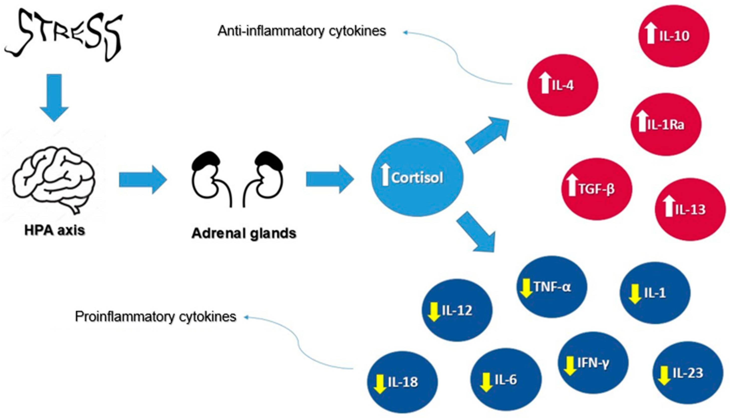 Diseases 12 00220 g002