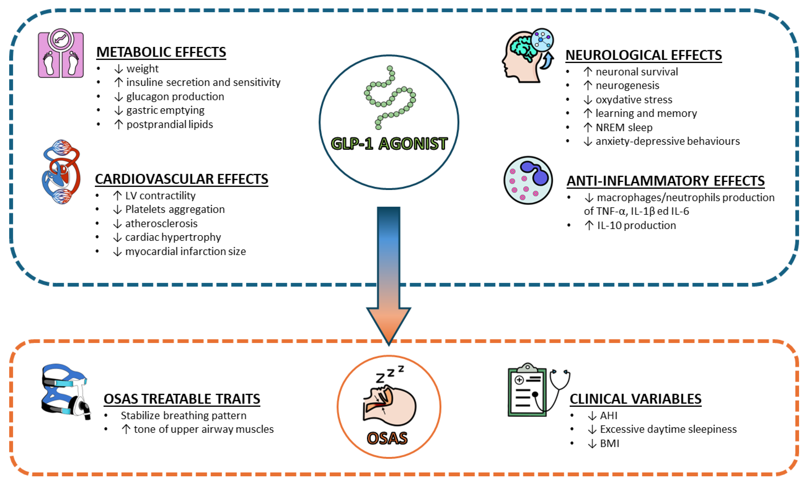 Diseases 12 00224 g001