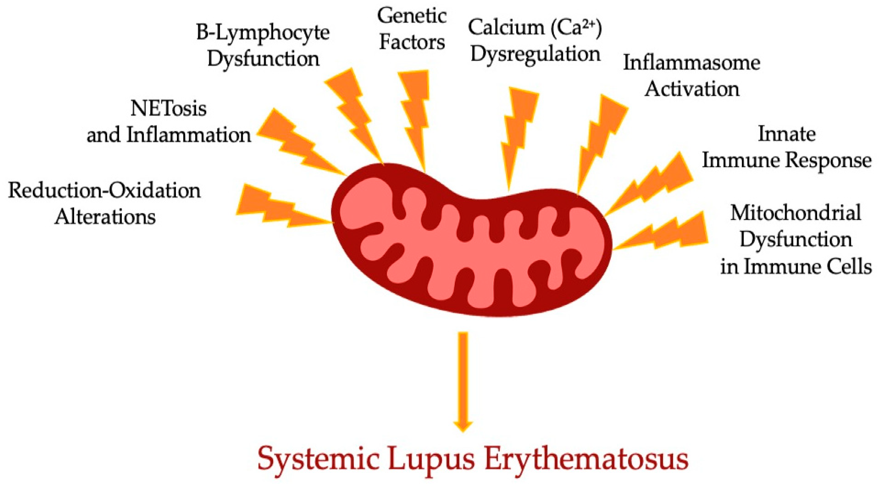 Diseases 12 00226 g001