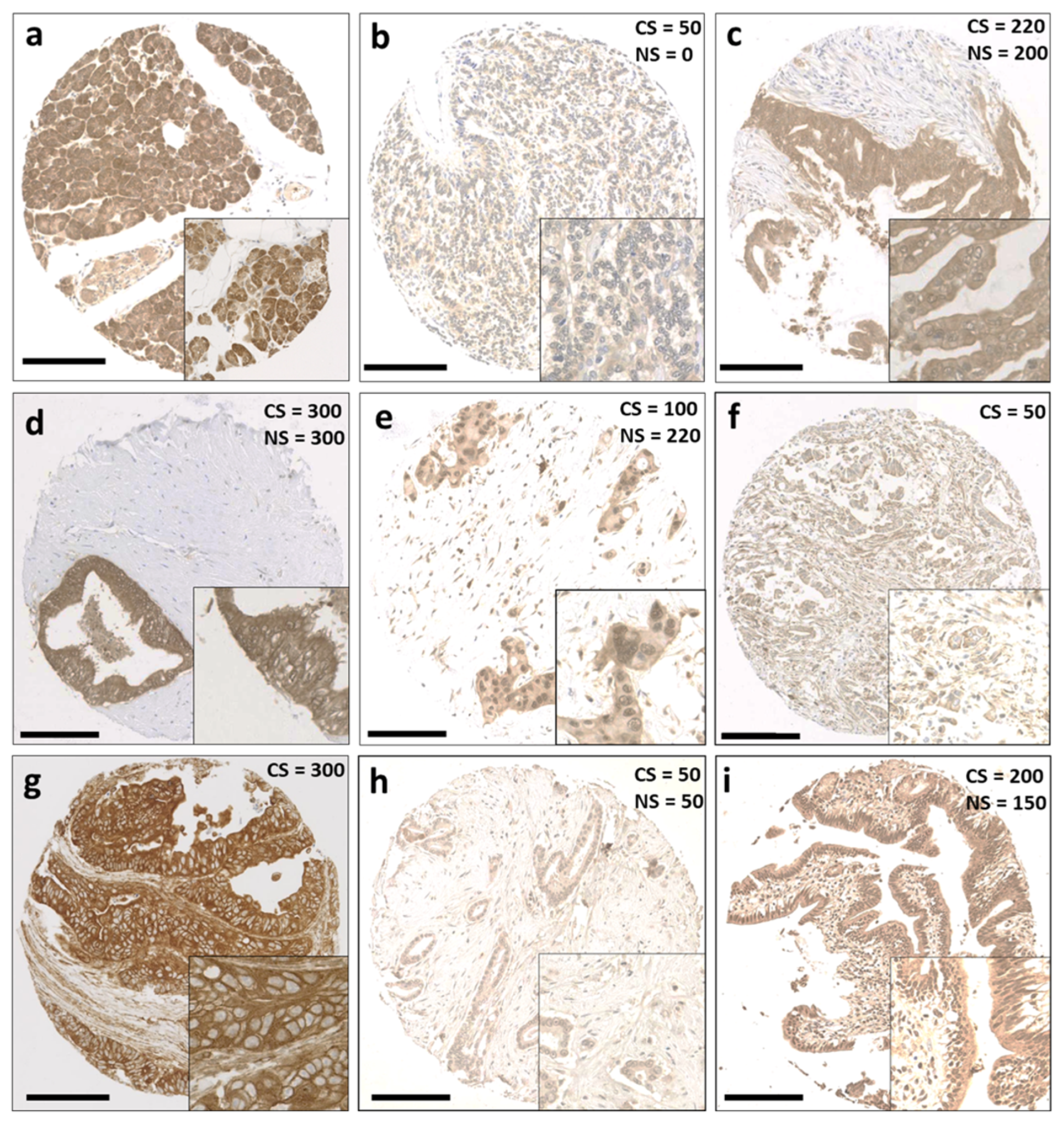 Diseases 12 00227 g001
