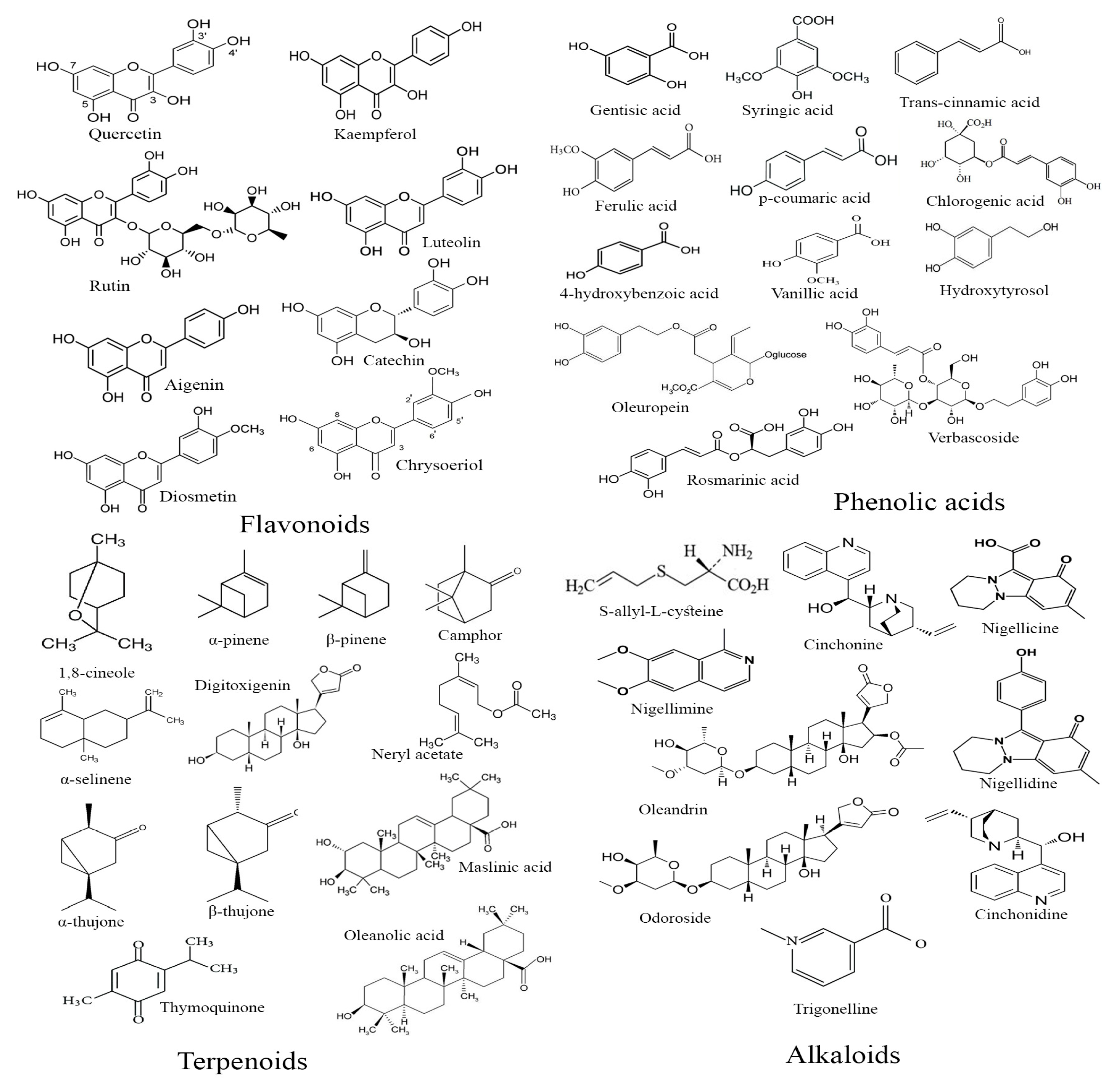 Diseases 12 00246 g008 Diseases 12 00246 g008