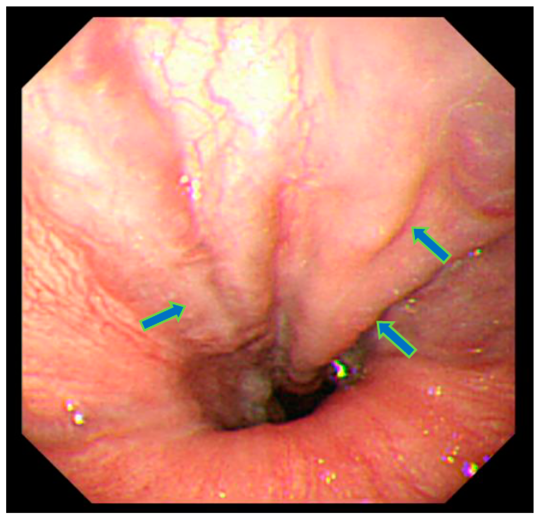 Diseases 12 00251 g001