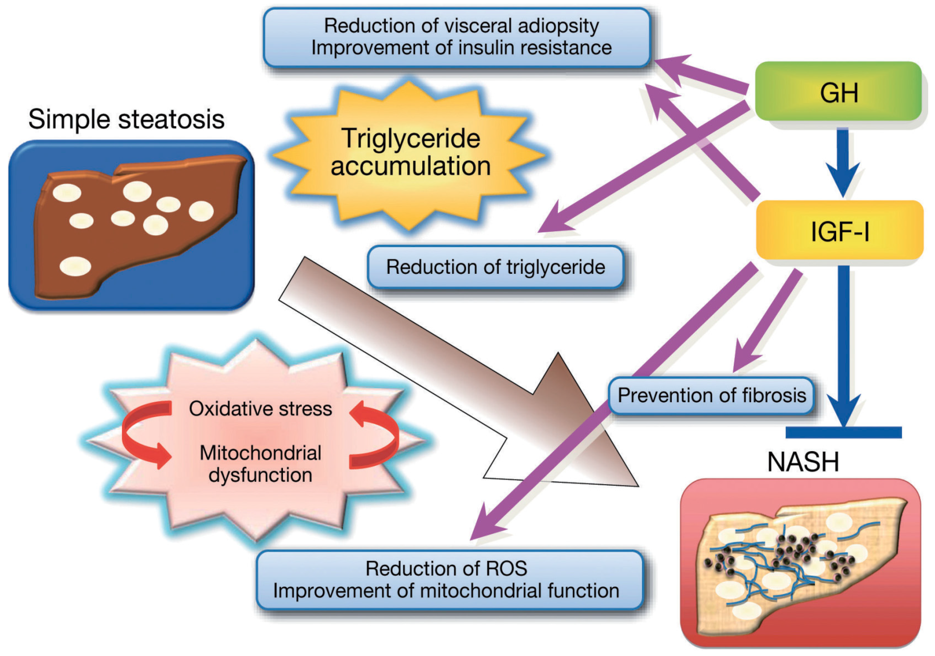 Diseases 12 00251 g003
