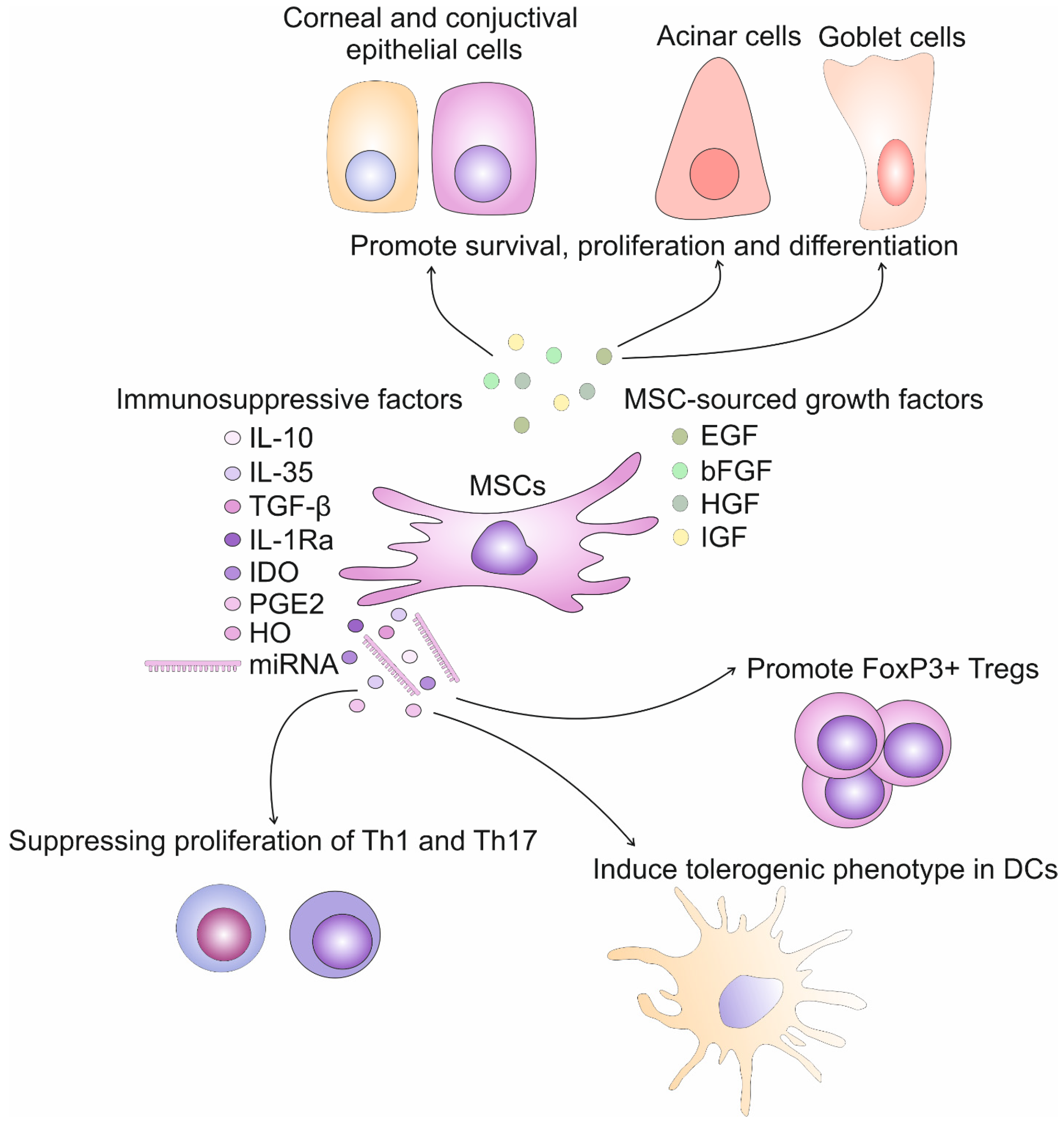 Diseases 12 00269 g002