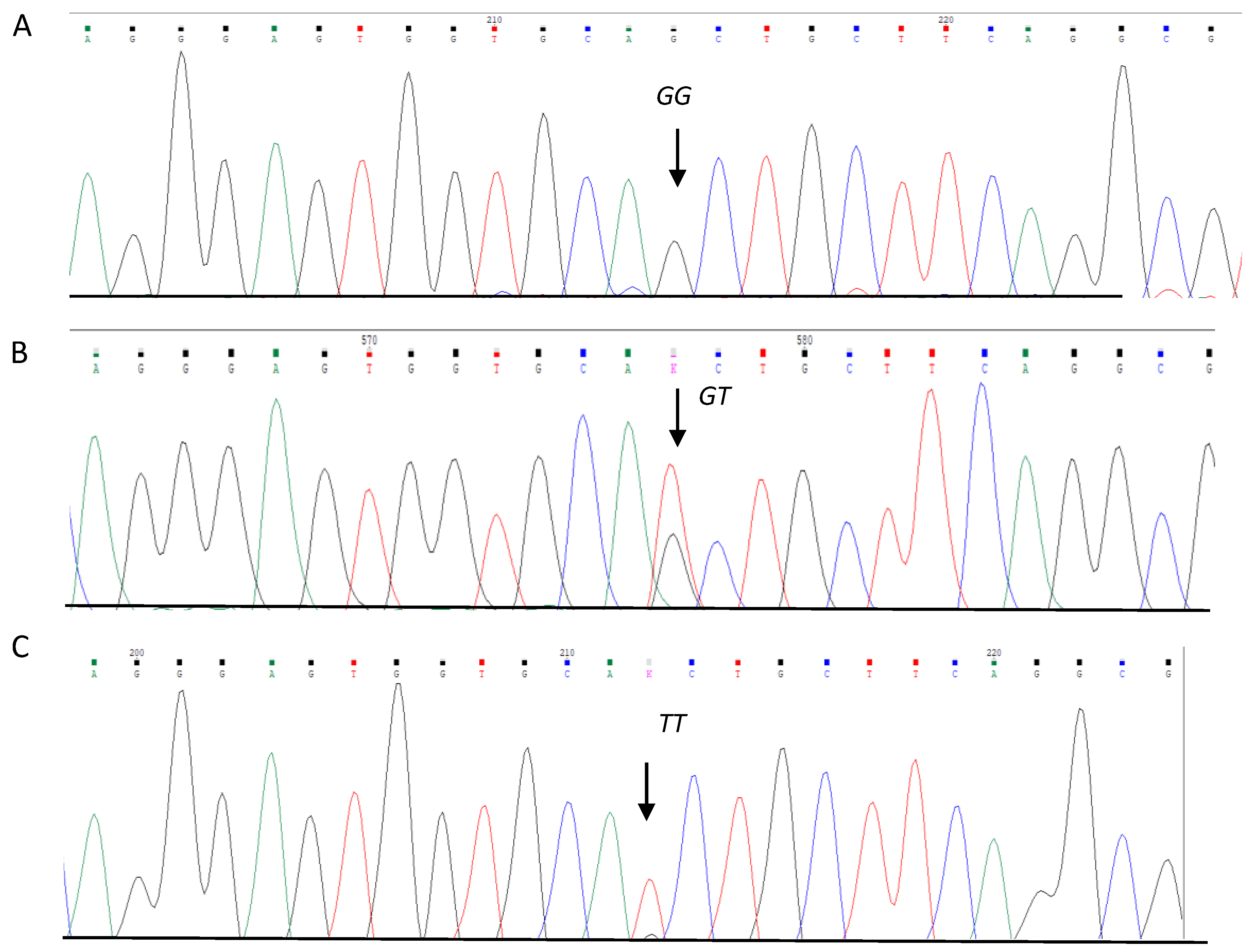 Diseases 12 00276 g001
