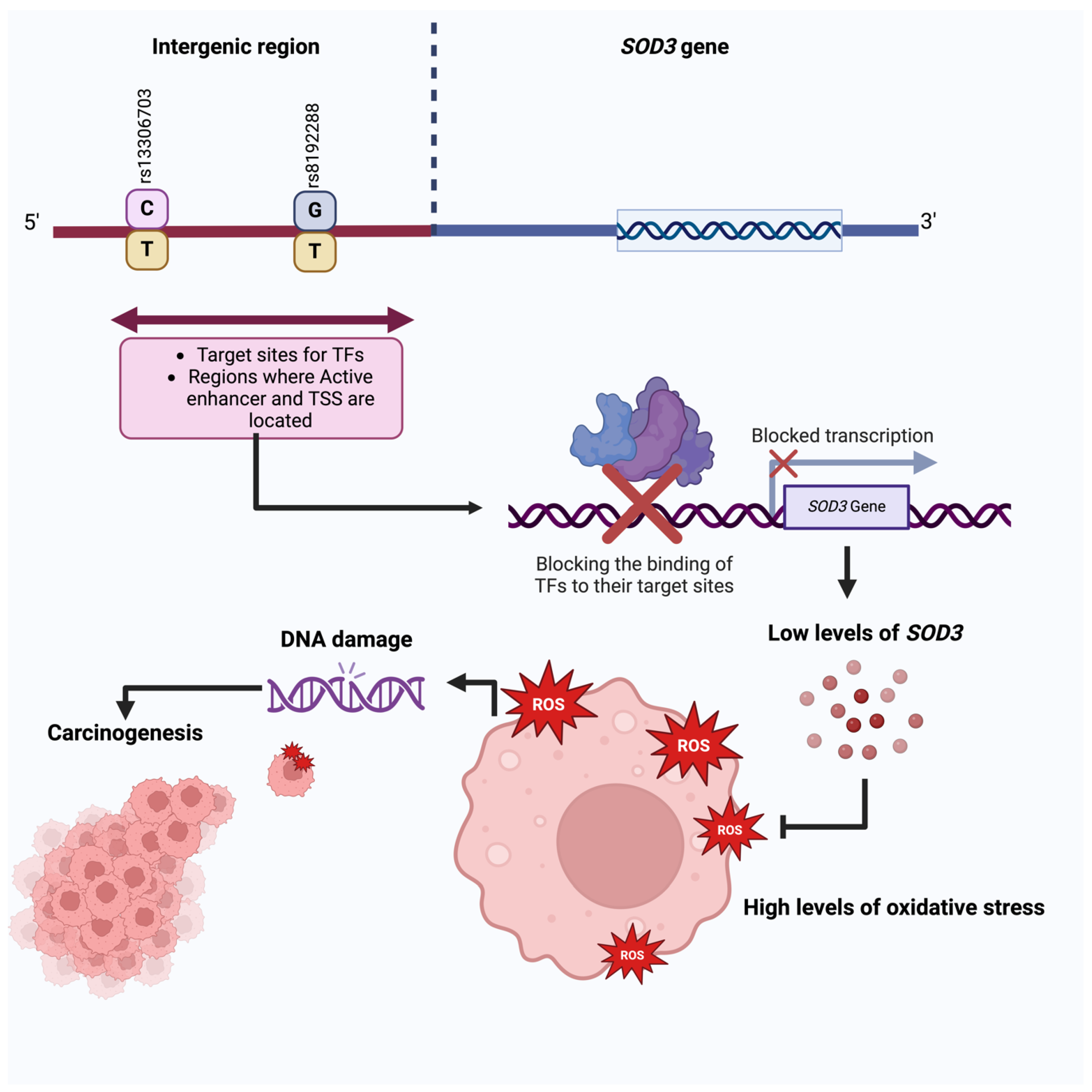 Diseases 12 00276 g004