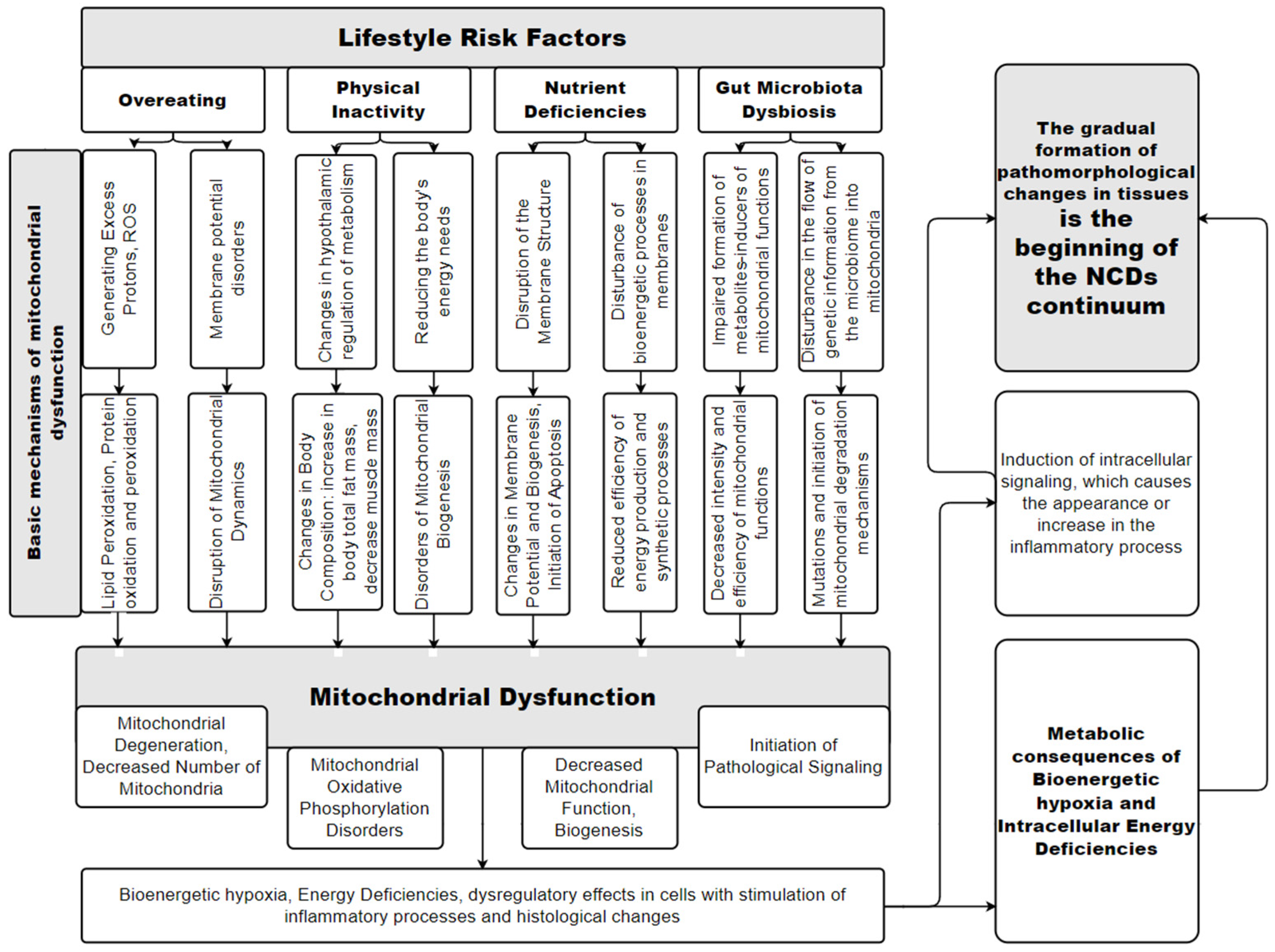 Diseases 12 00277 g001