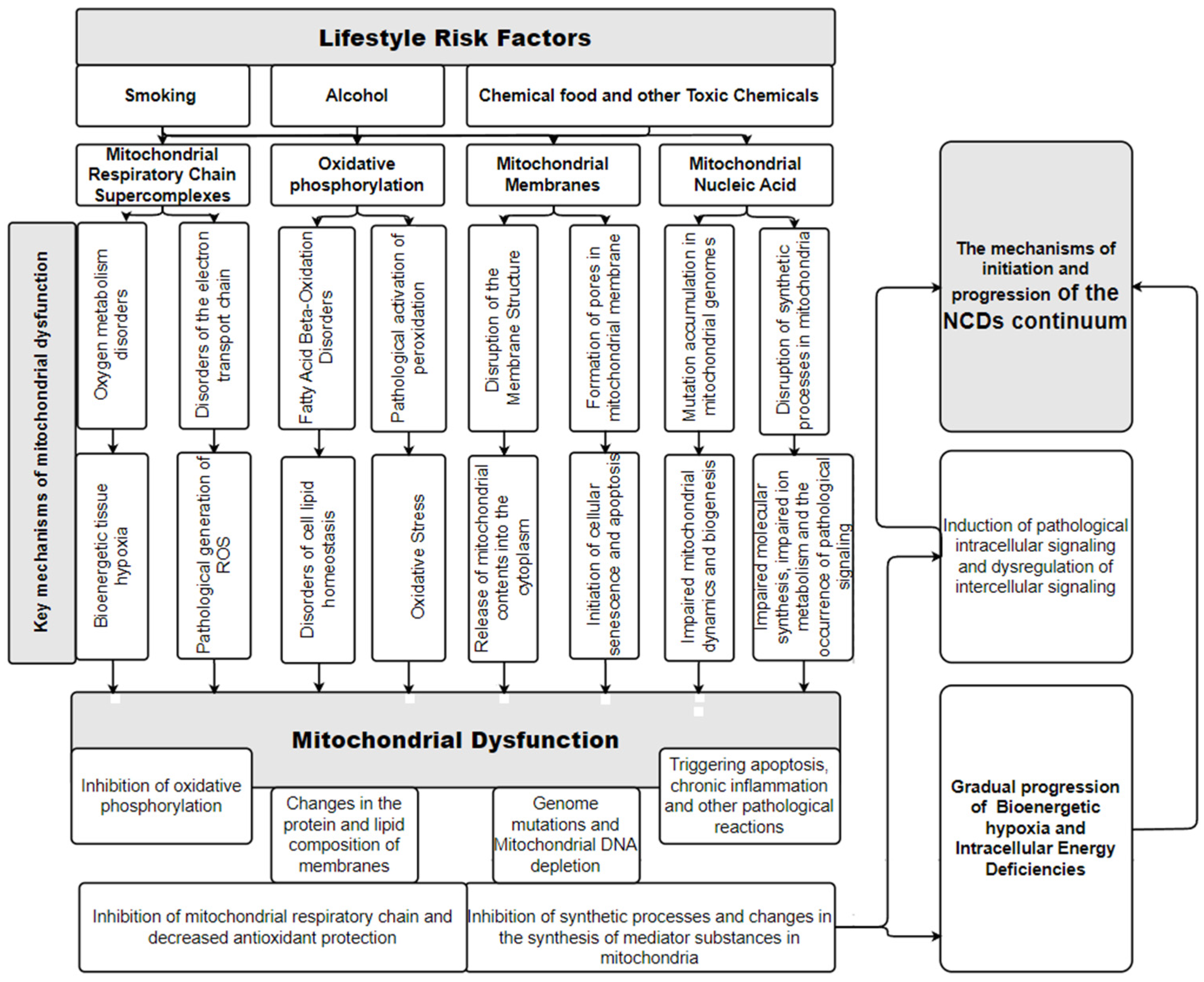 Diseases 12 00277 g002