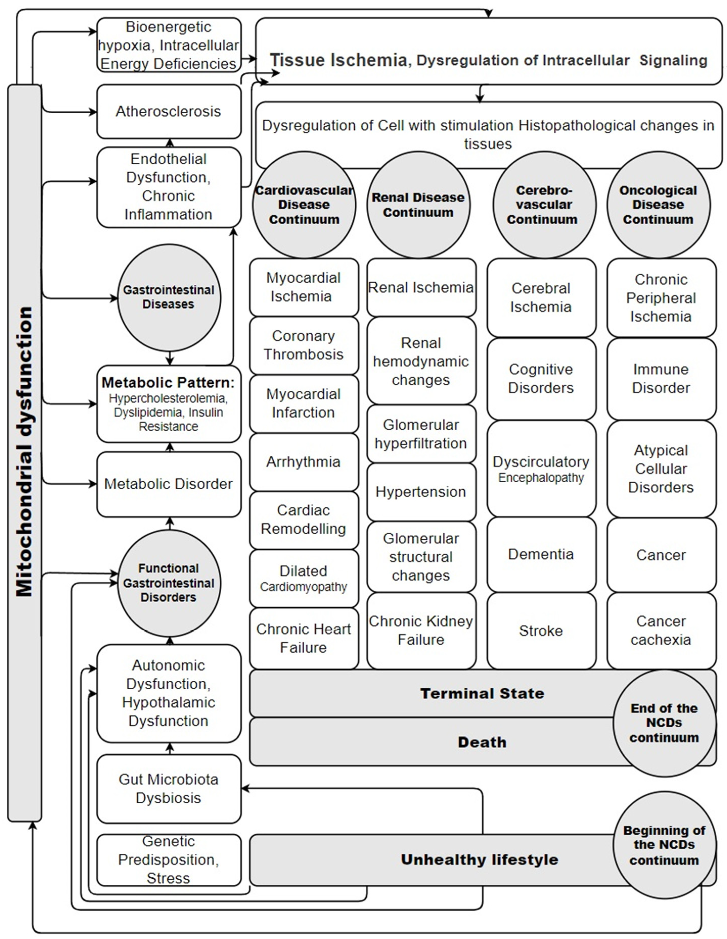 Diseases 12 00277 g003