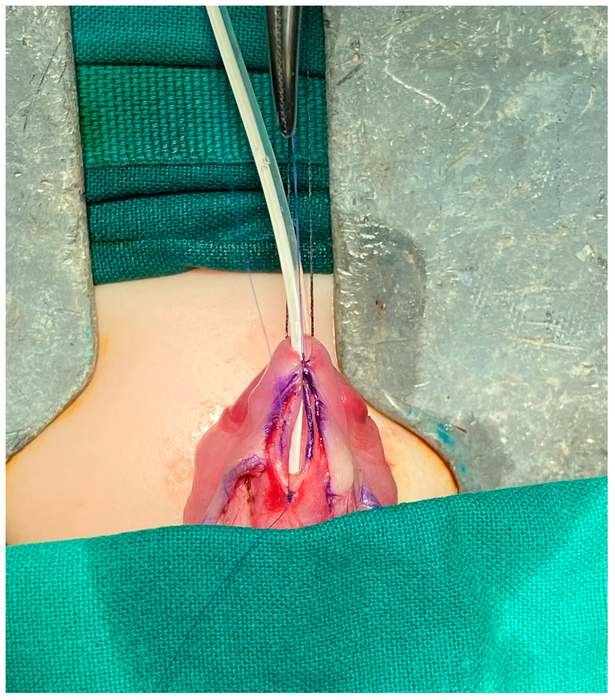 Diseases 12 00279 g001