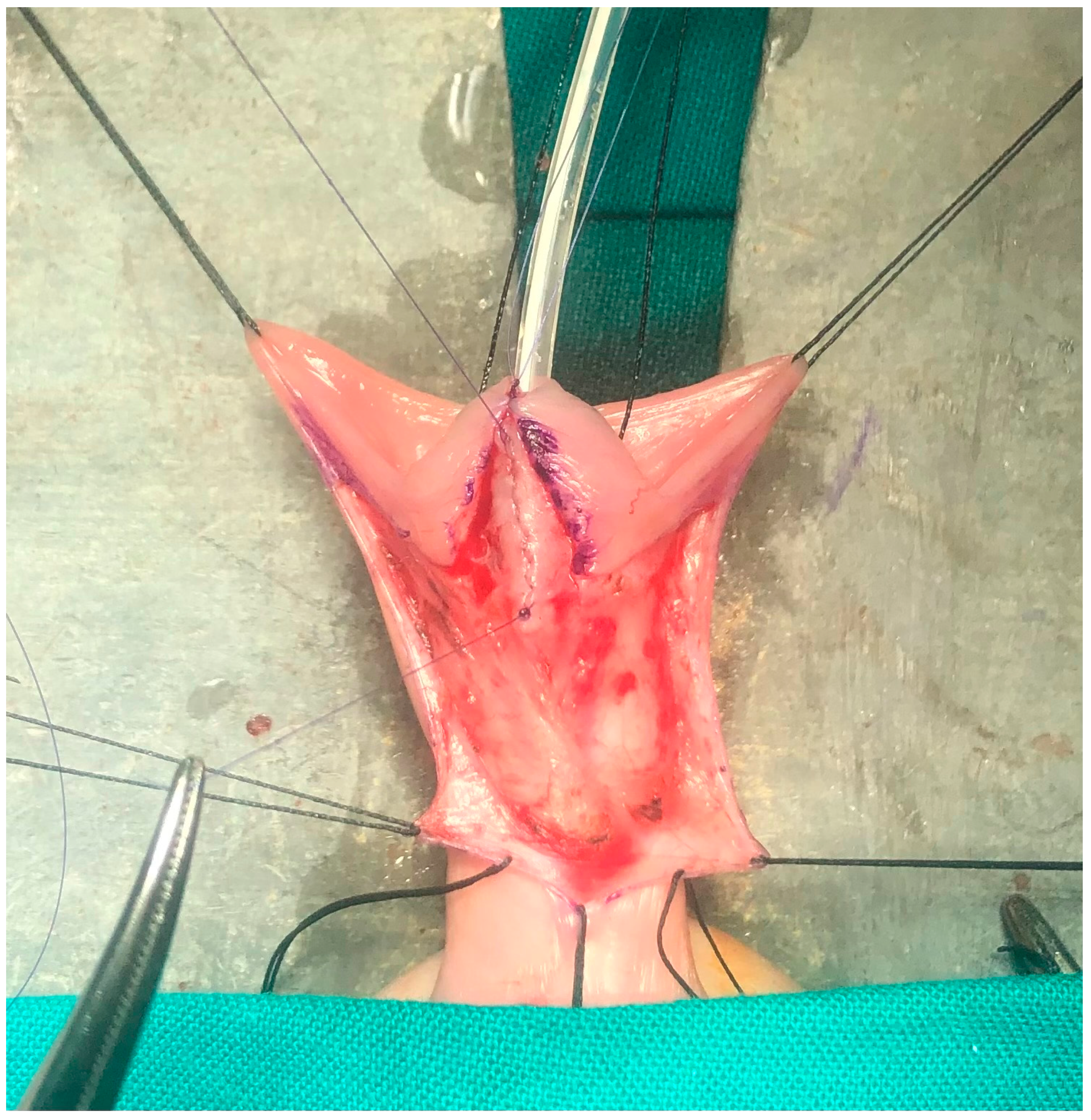 Diseases 12 00279 g002