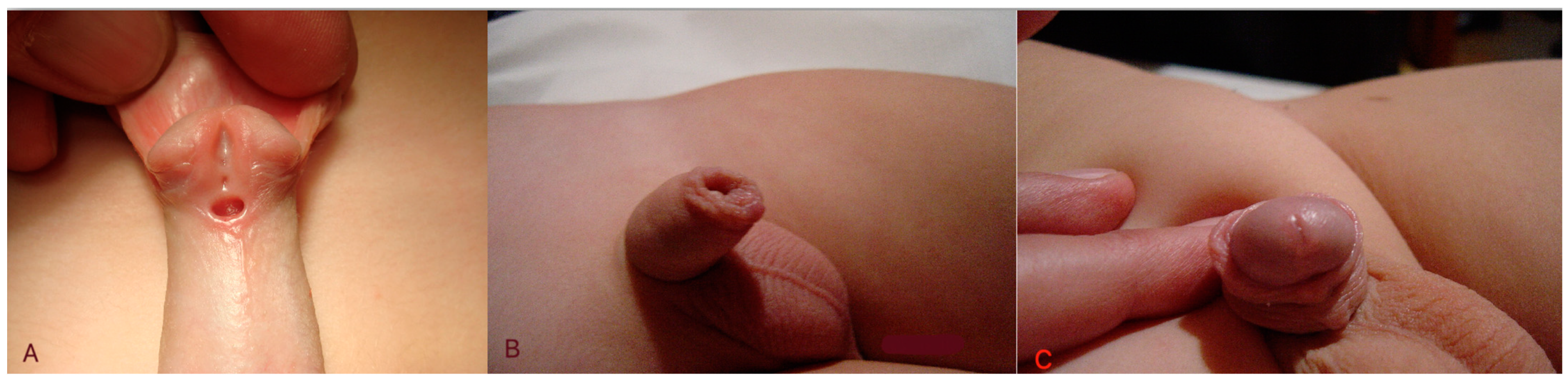 Diseases 12 00279 g003