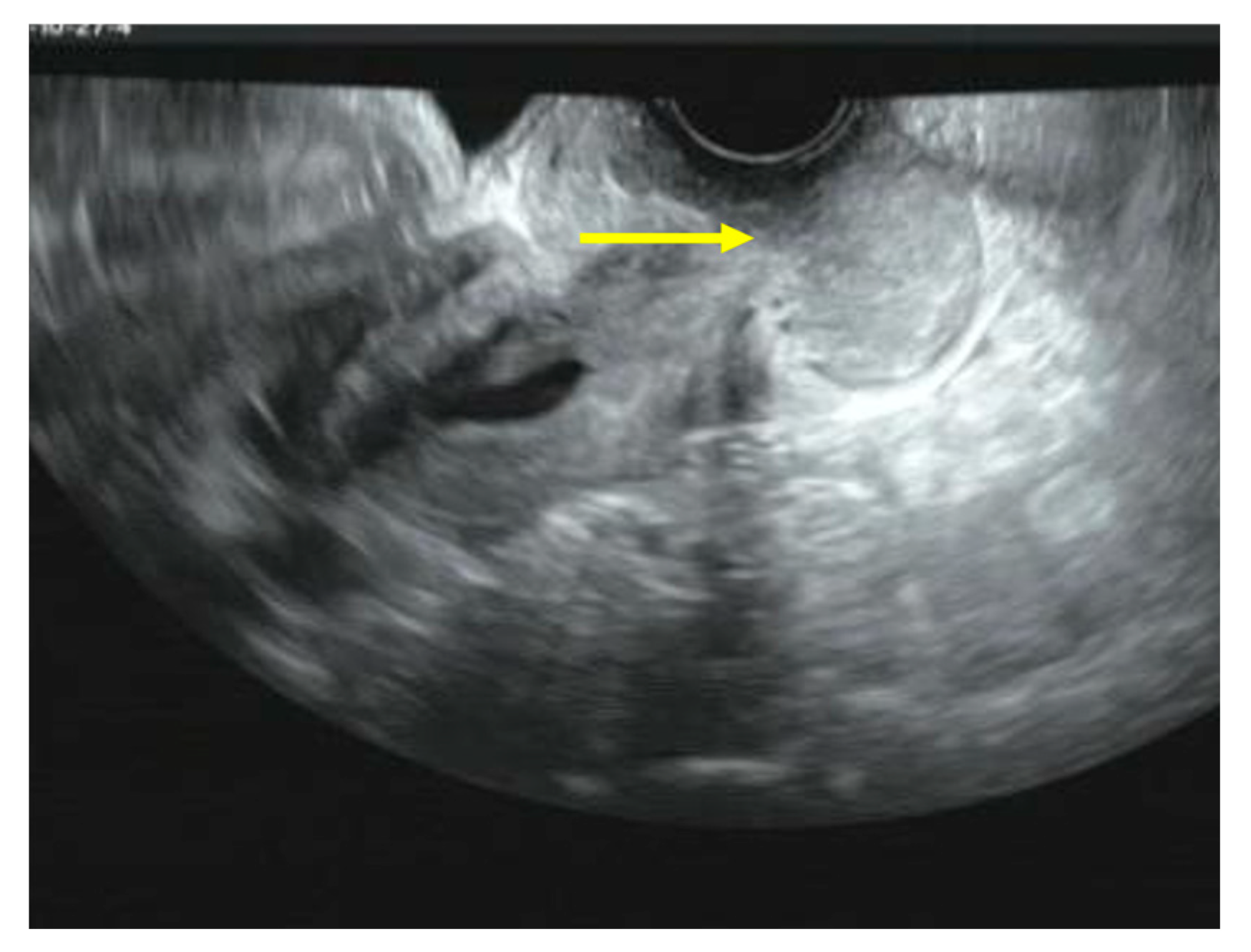 Diseases 12 00282 g002