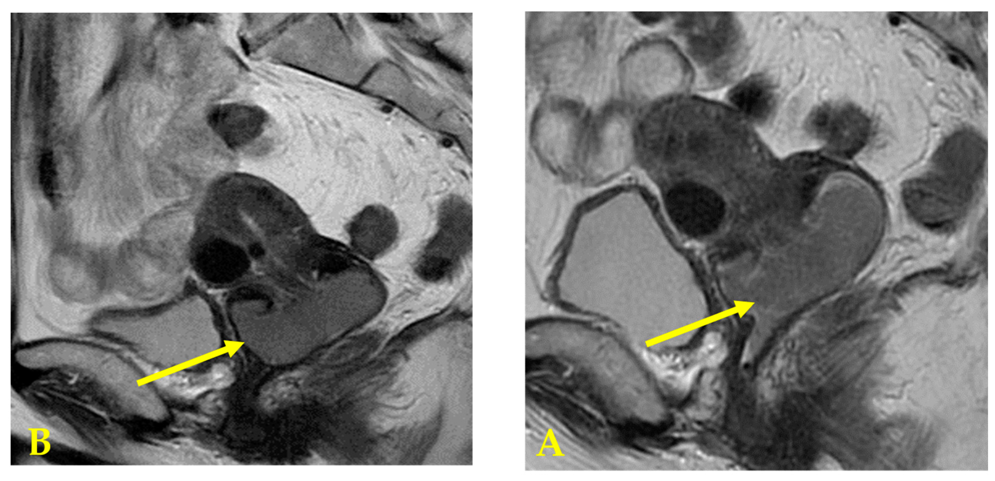 Diseases 12 00282 g003