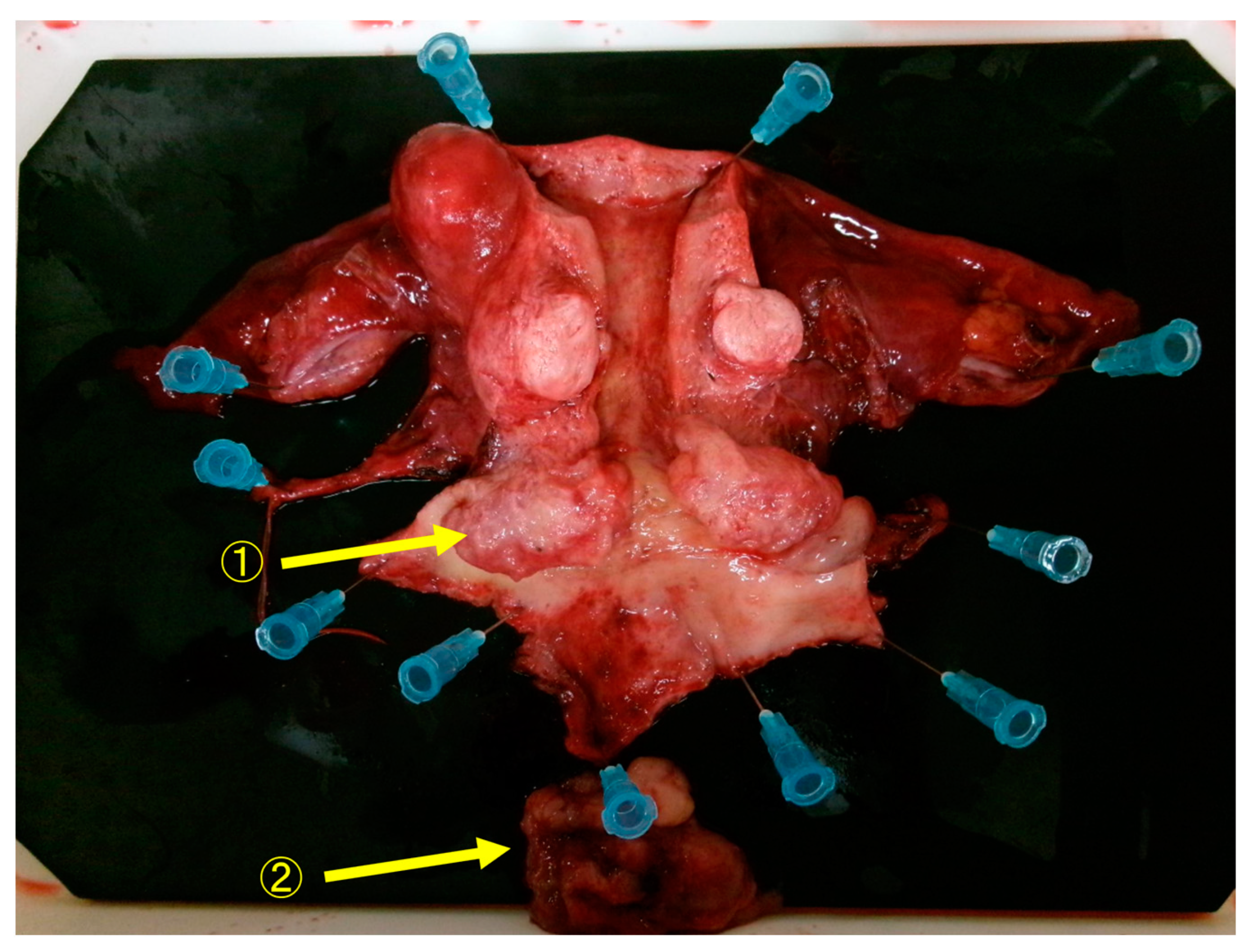 Diseases 12 00282 g004