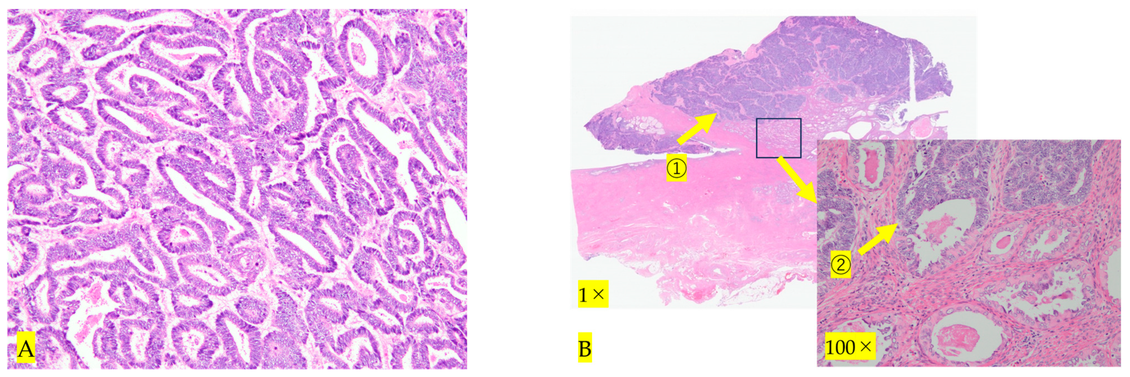 Diseases 12 00282 g005