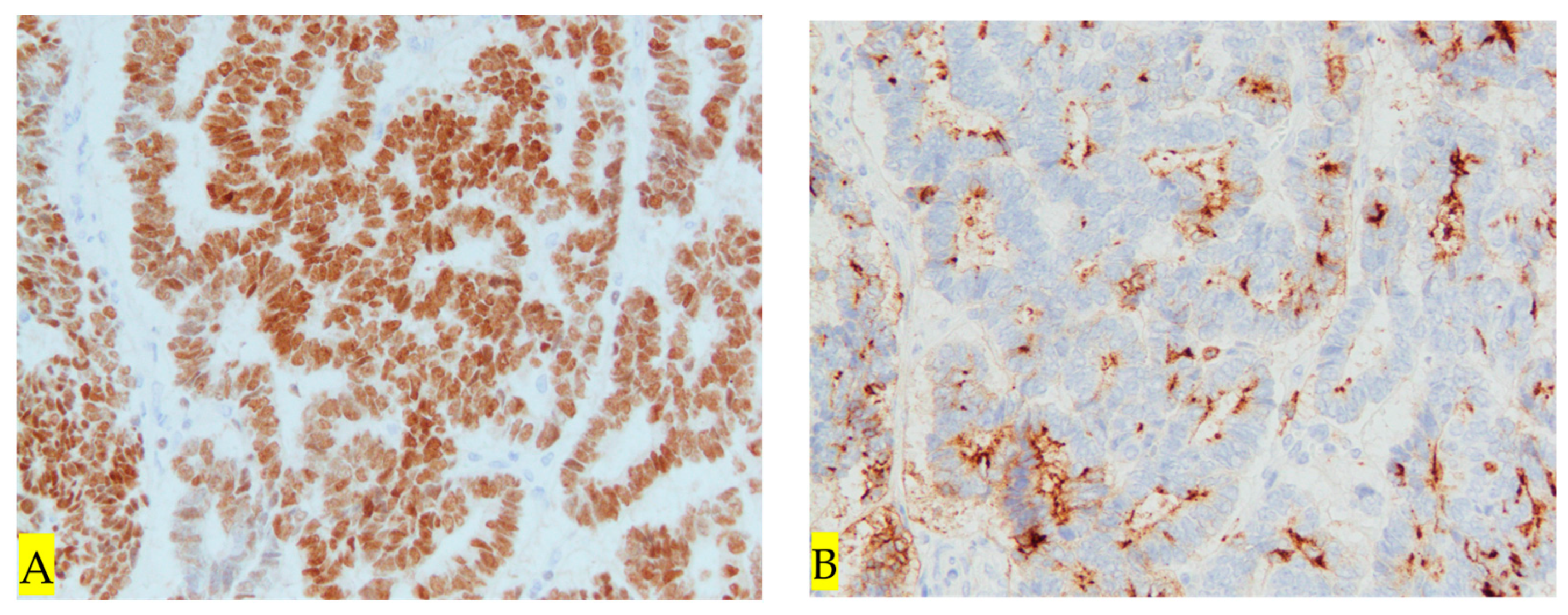 Diseases 12 00282 g006a